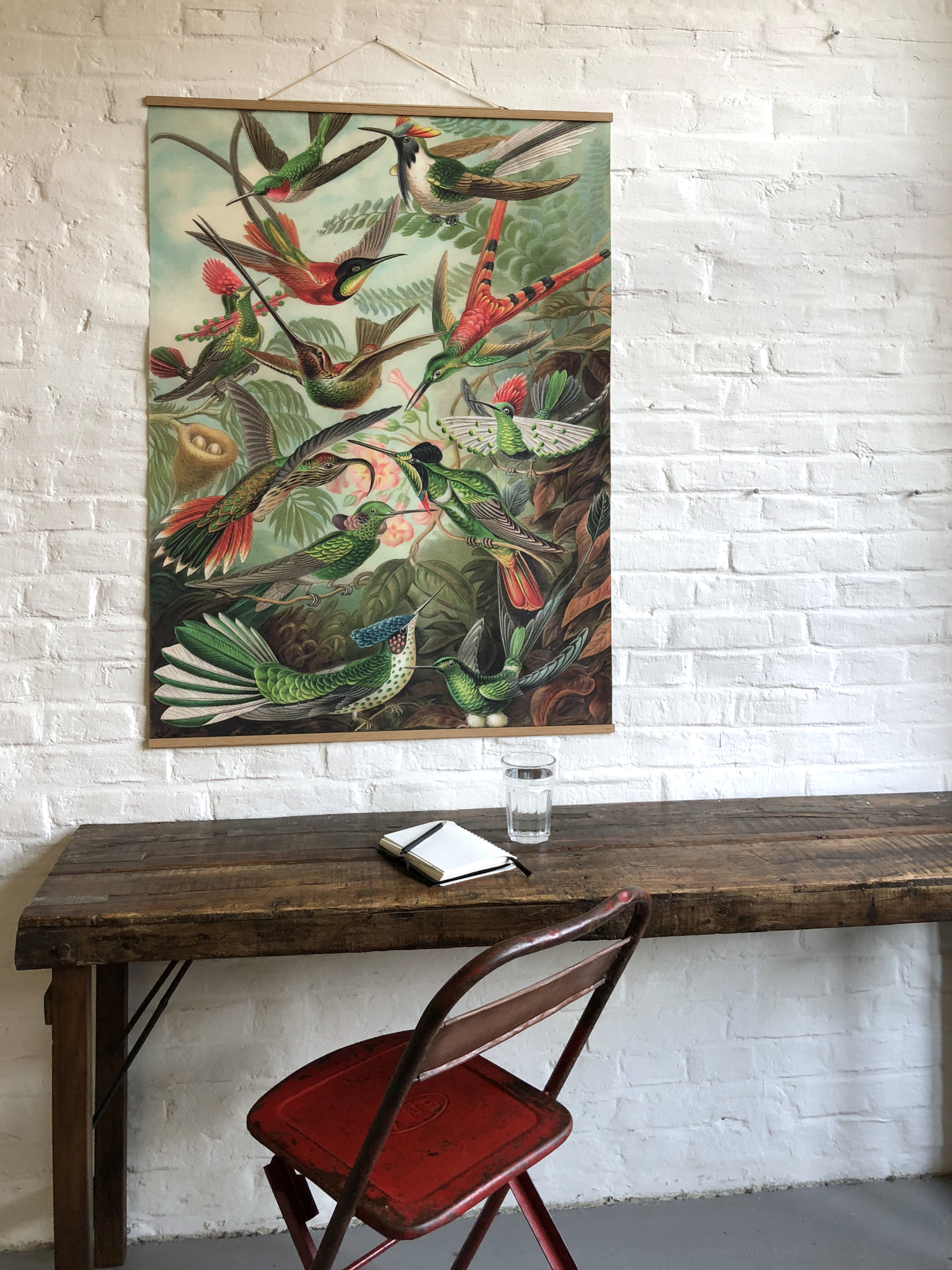 Fish Poster No 66 eicie EINZELSTÜCK