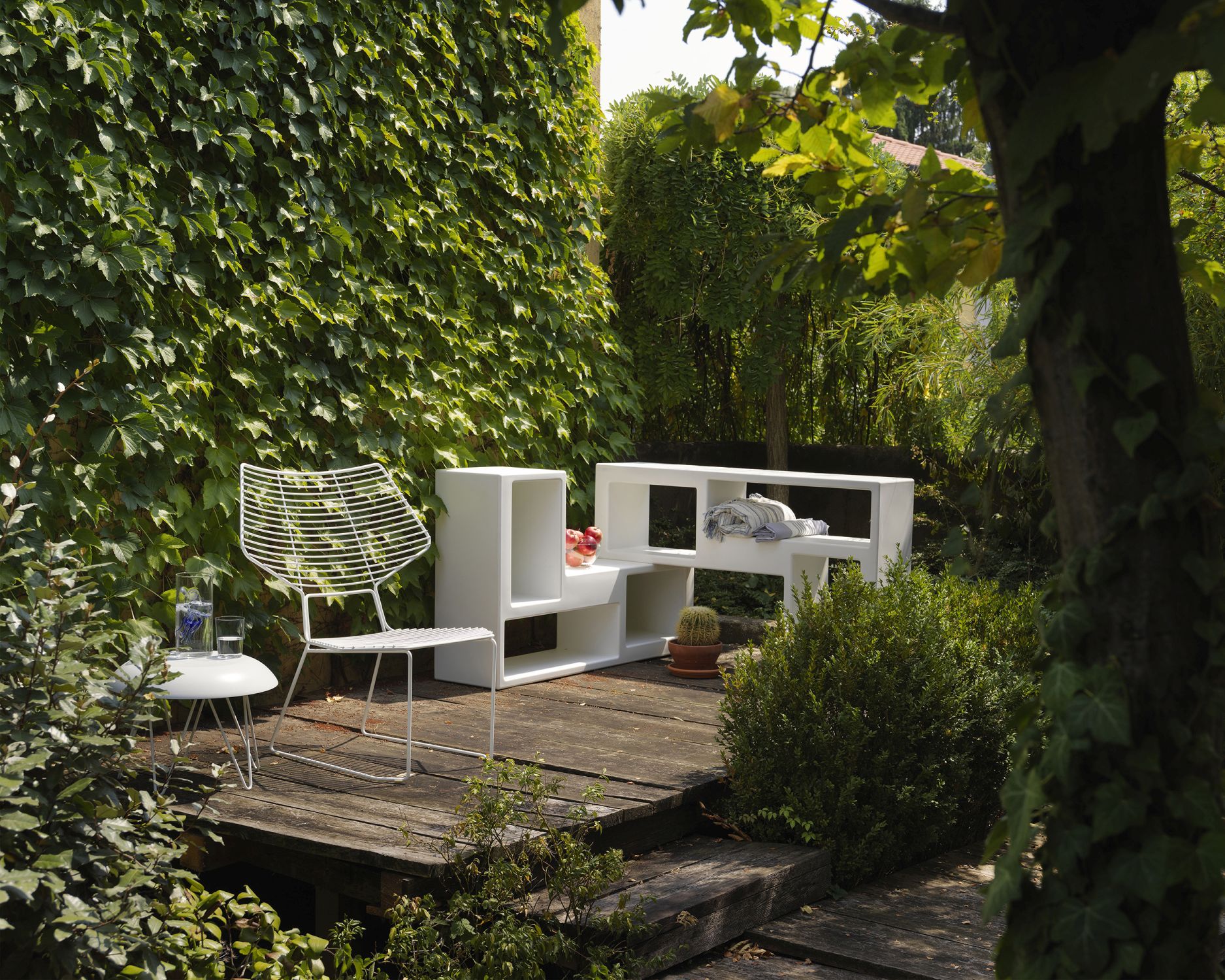 Urban Regal Casamania Horm