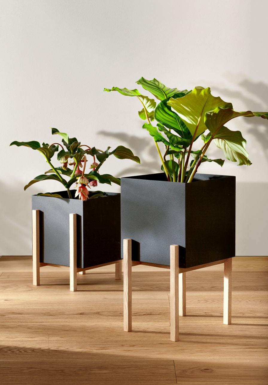 Botanic Flower Stand Blumenkasten Mittel Design House Stockholm  