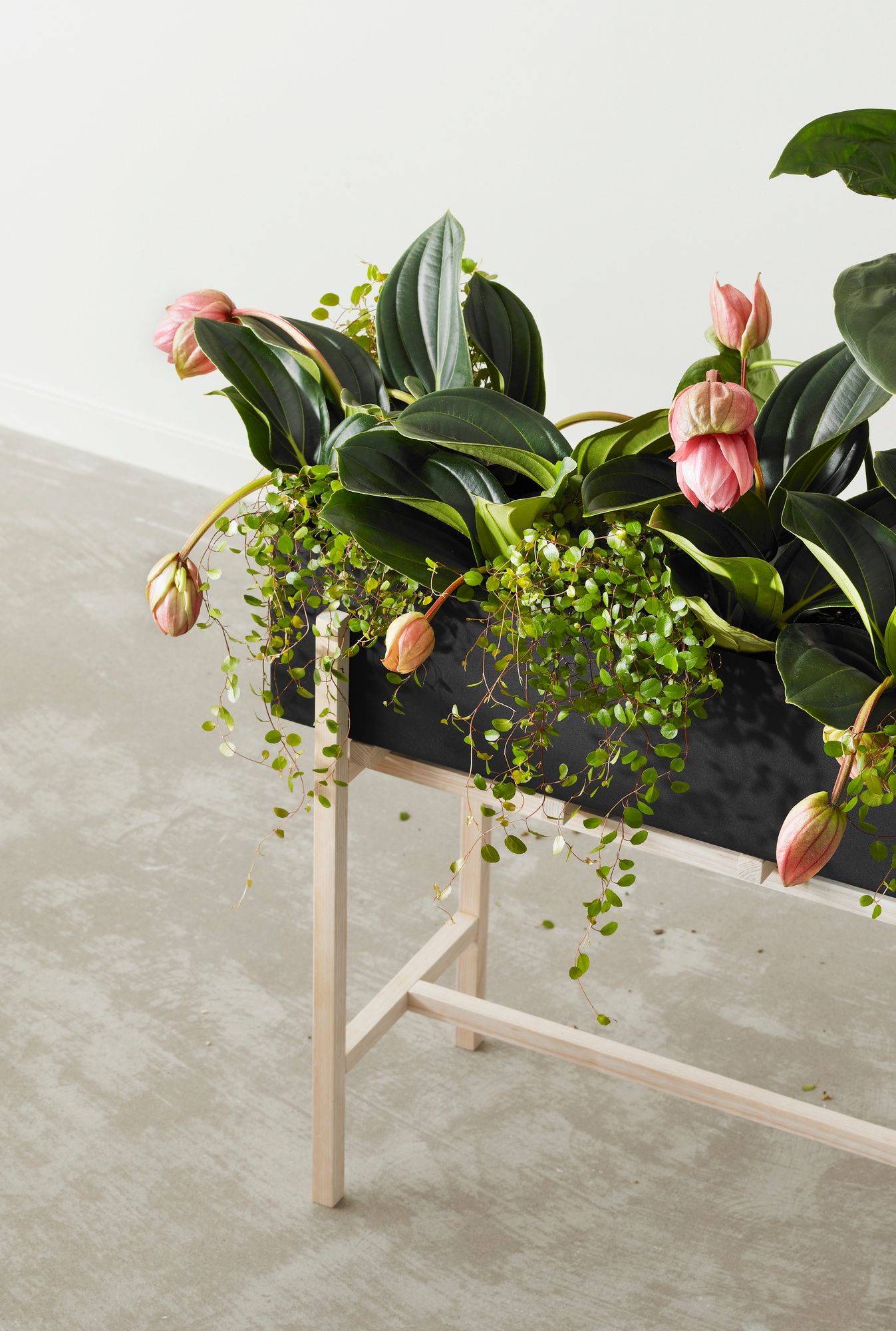 Botanic Flower Stand Blumenkasten Groß Design House Stockholm EINZELSTÜCK