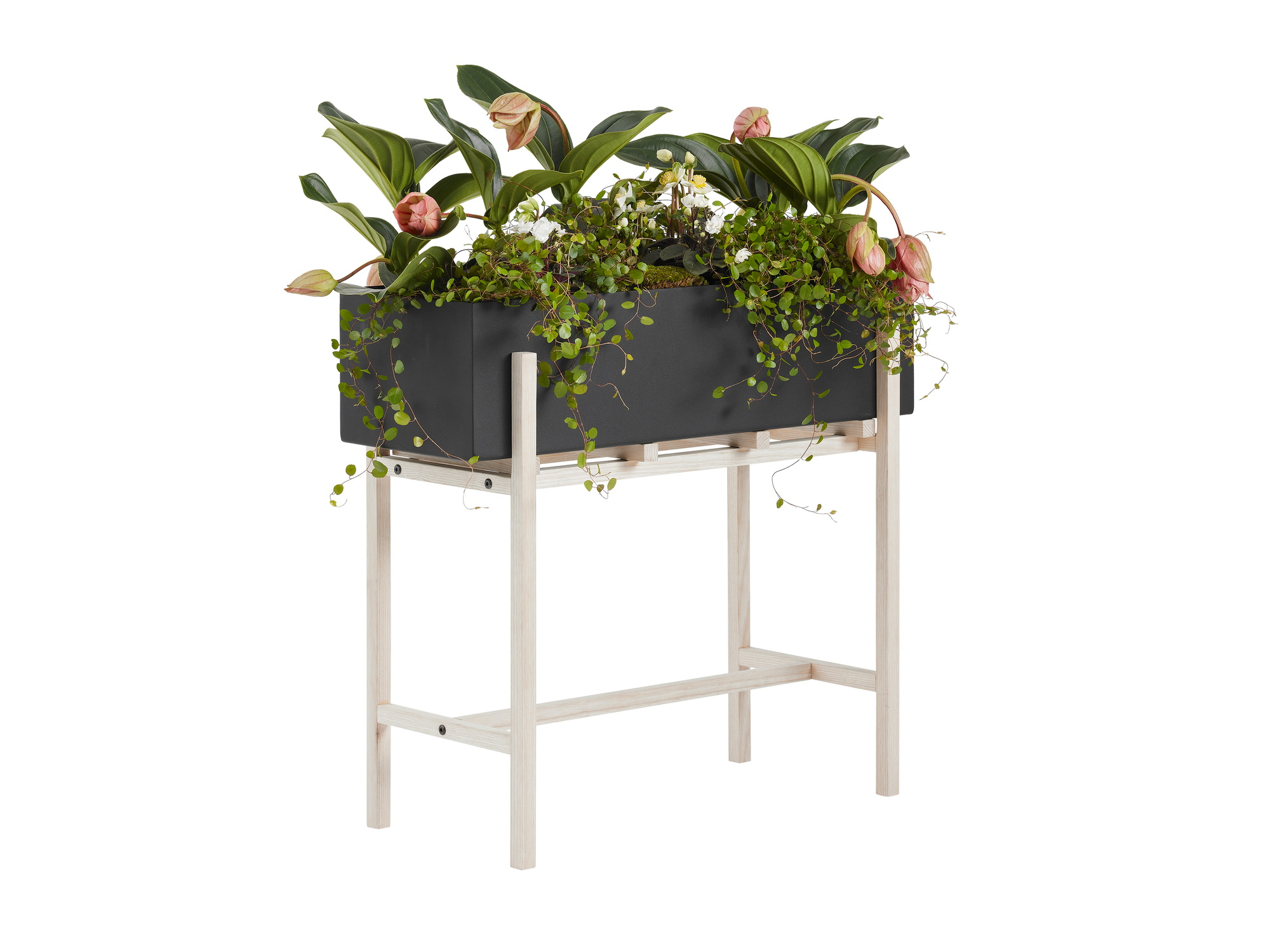 Botanic Flower Stand Blumenkasten Groß Design House Stockholm EINZELSTÜCK