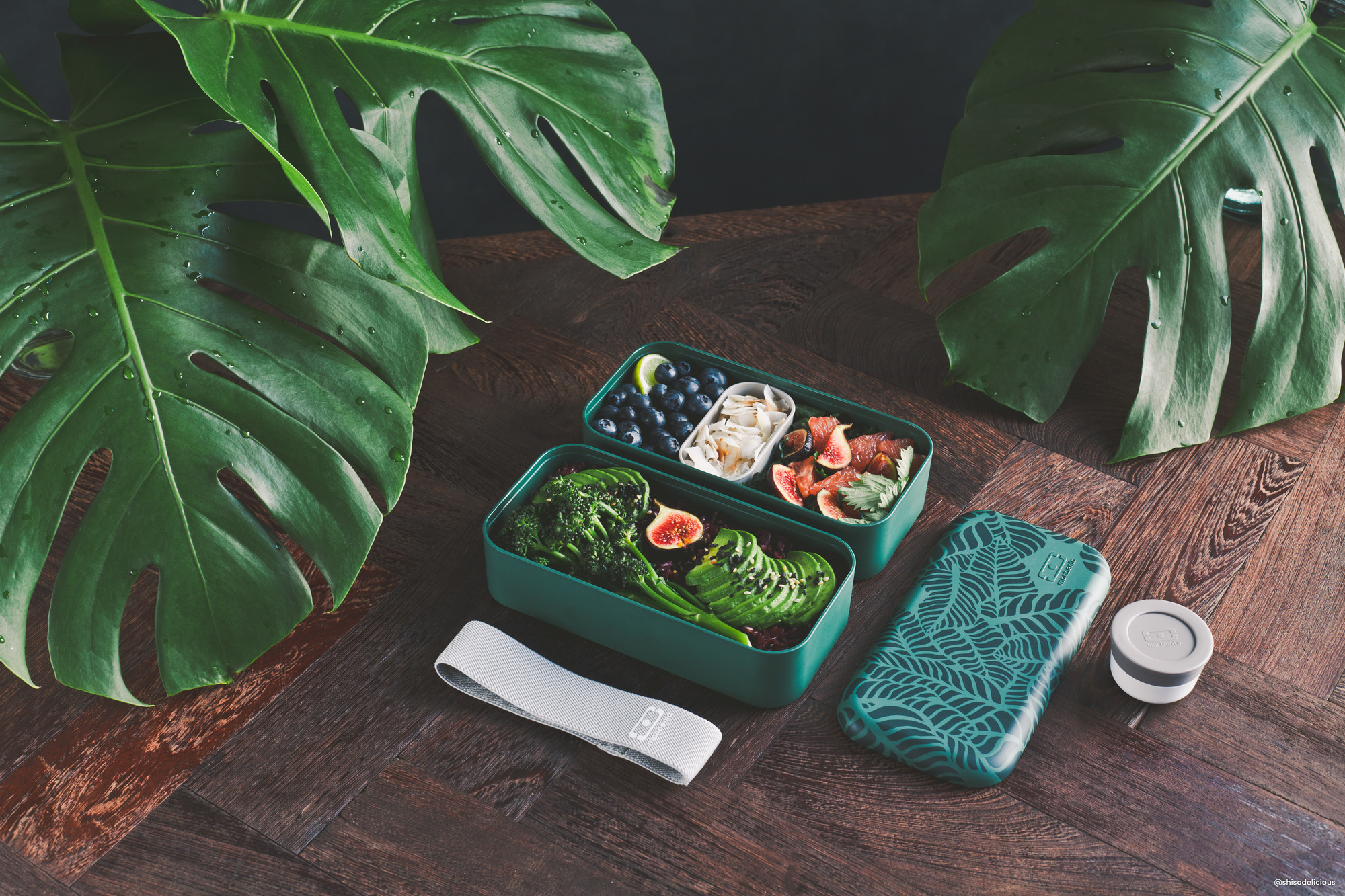 MB Original Jungle Lunch Box Monbento EINZELSTÜCK