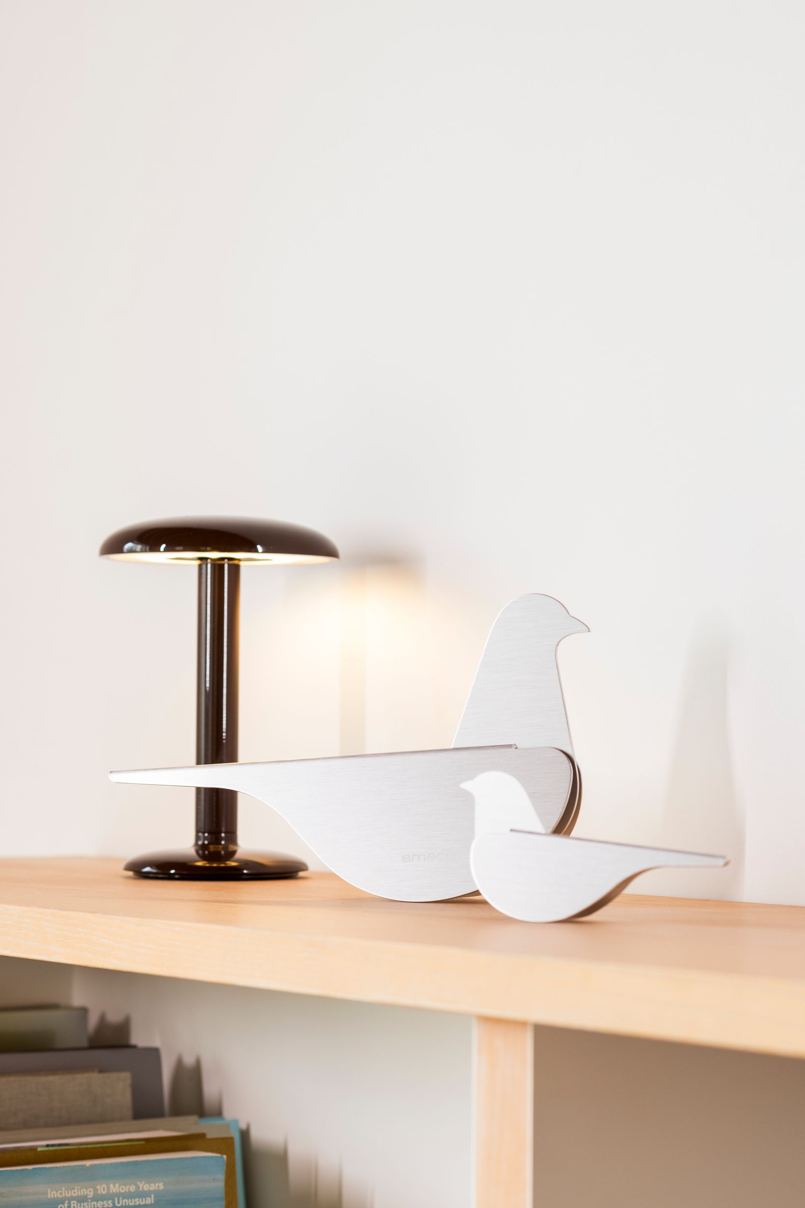 Birds Pigeon Taube Emeco