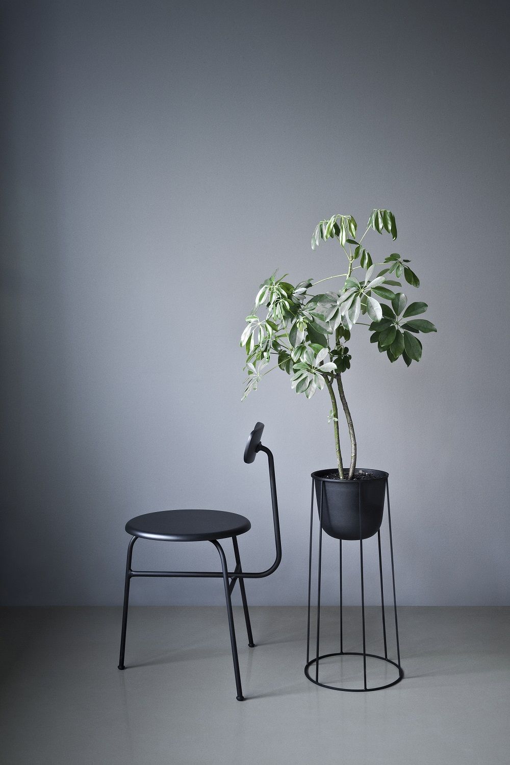 Afteroom Dining Chair Stuhl / Esszimerstuhl Audo Copenhagen