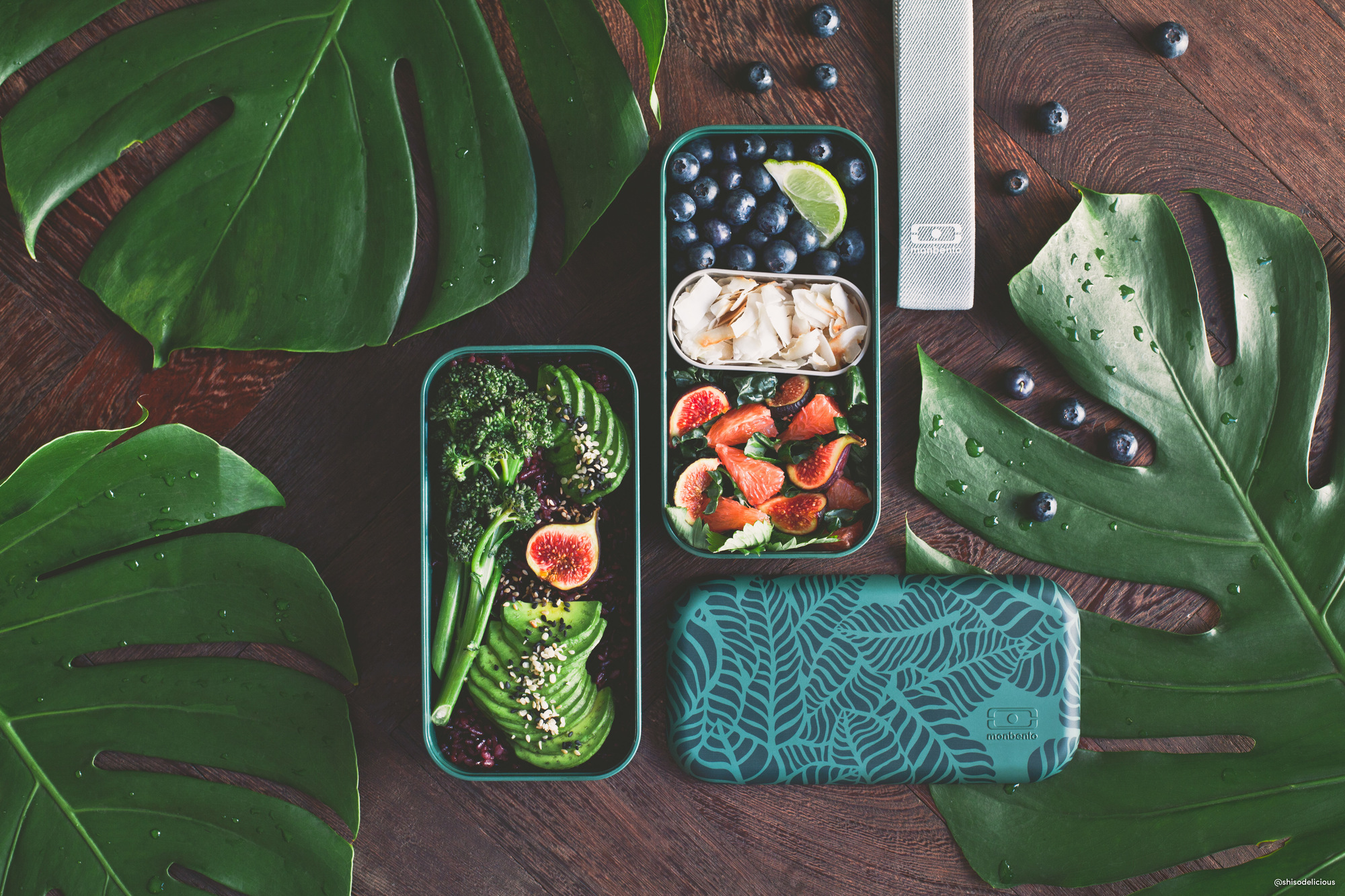 MB Original Jungle Lunch Box Monbento EINZELSTÜCK