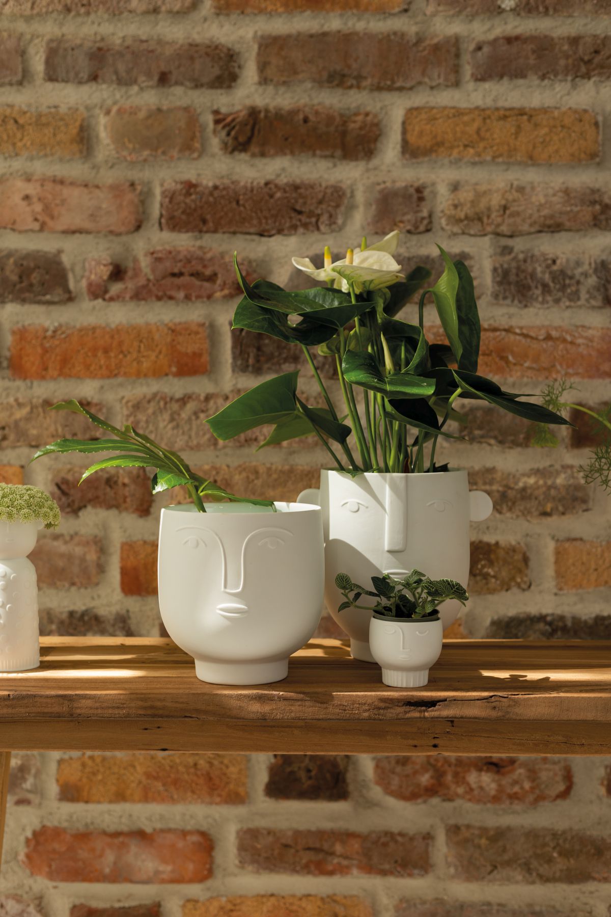 Naturgestalten Vase Flora Räder