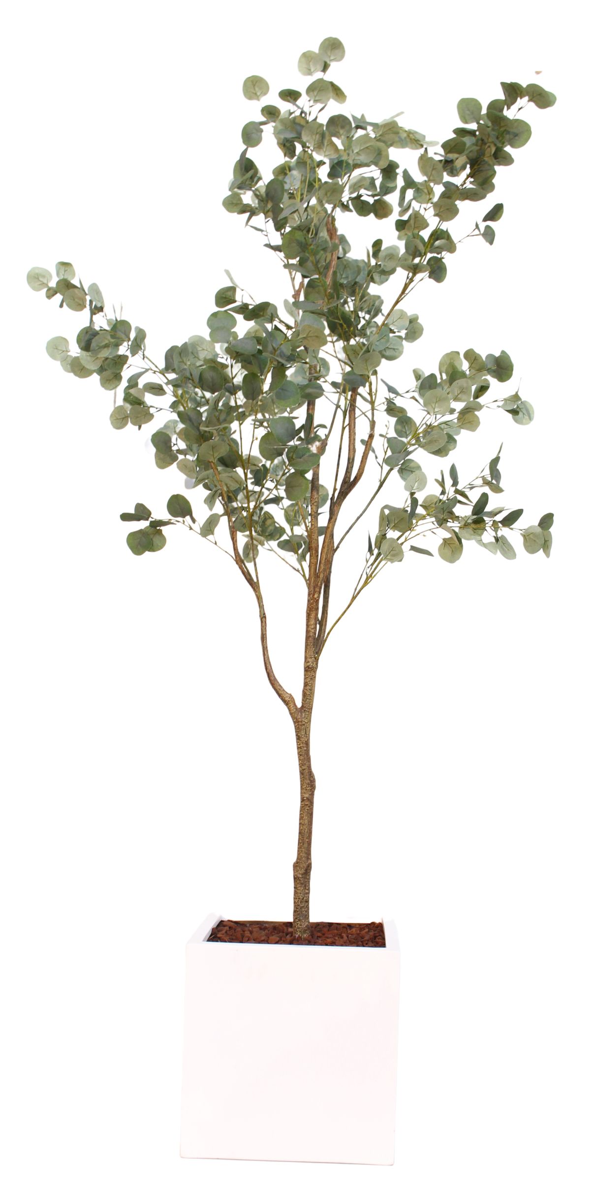 Taiga Eucalyptus Tree (Eukalyptus Baum) Kunstpflanze Tanaman | TANAMAN A  AB7 FB10