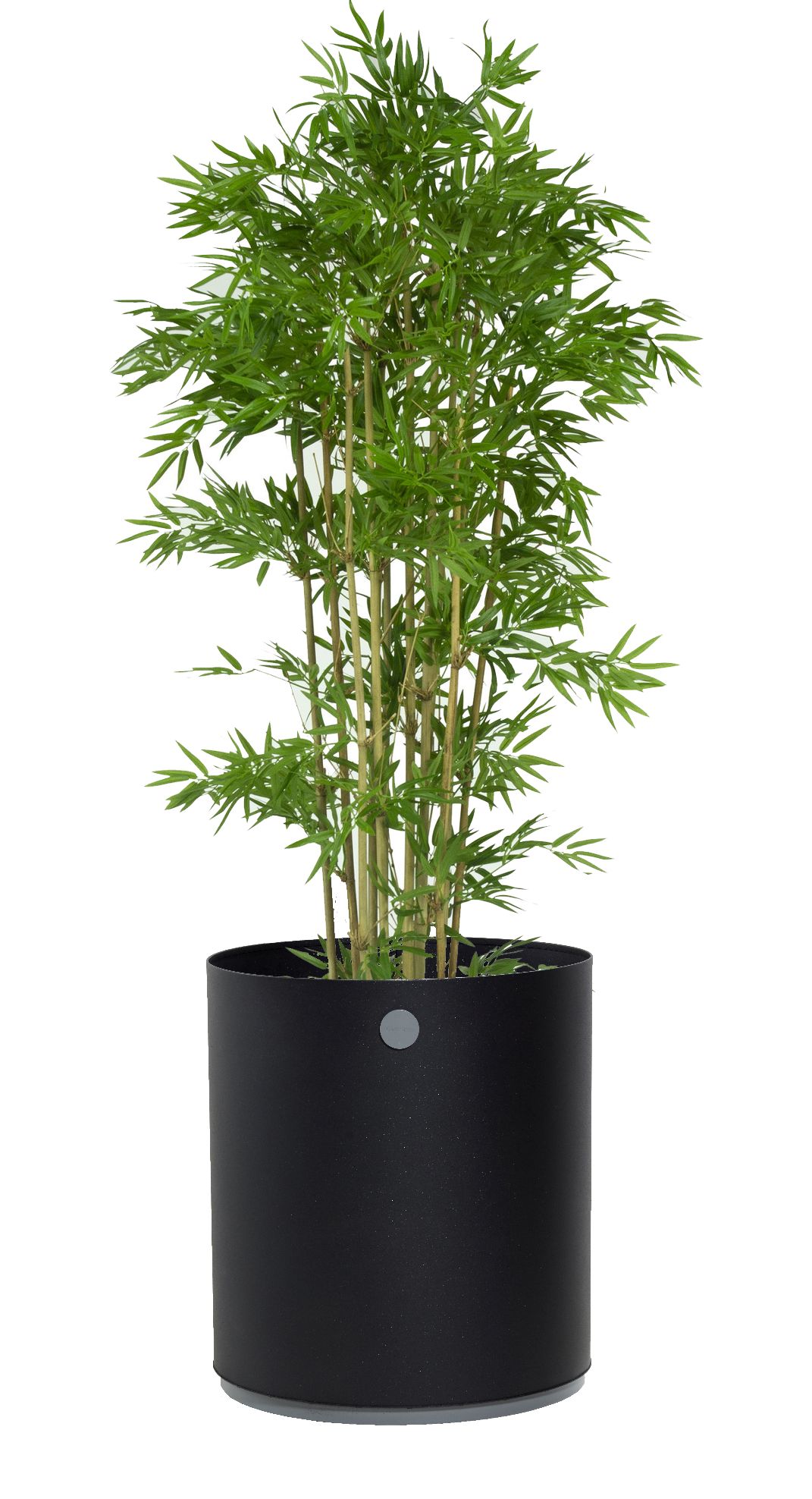 Grow Planter Pflanzgefäß Medium Outdoor Cane-Line