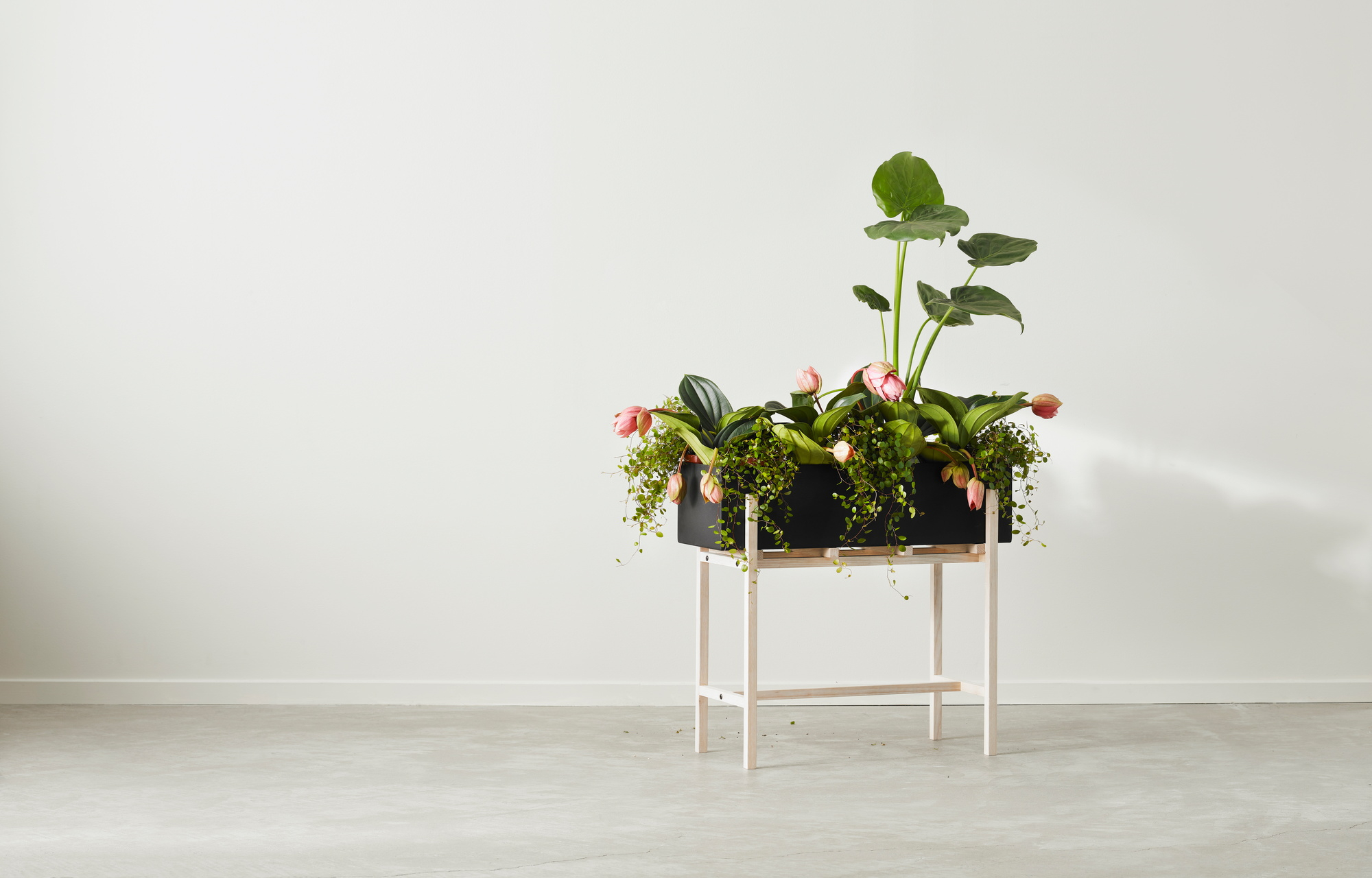 Botanic Flower Stand Blumenkasten Groß Design House Stockholm EINZELSTÜCK