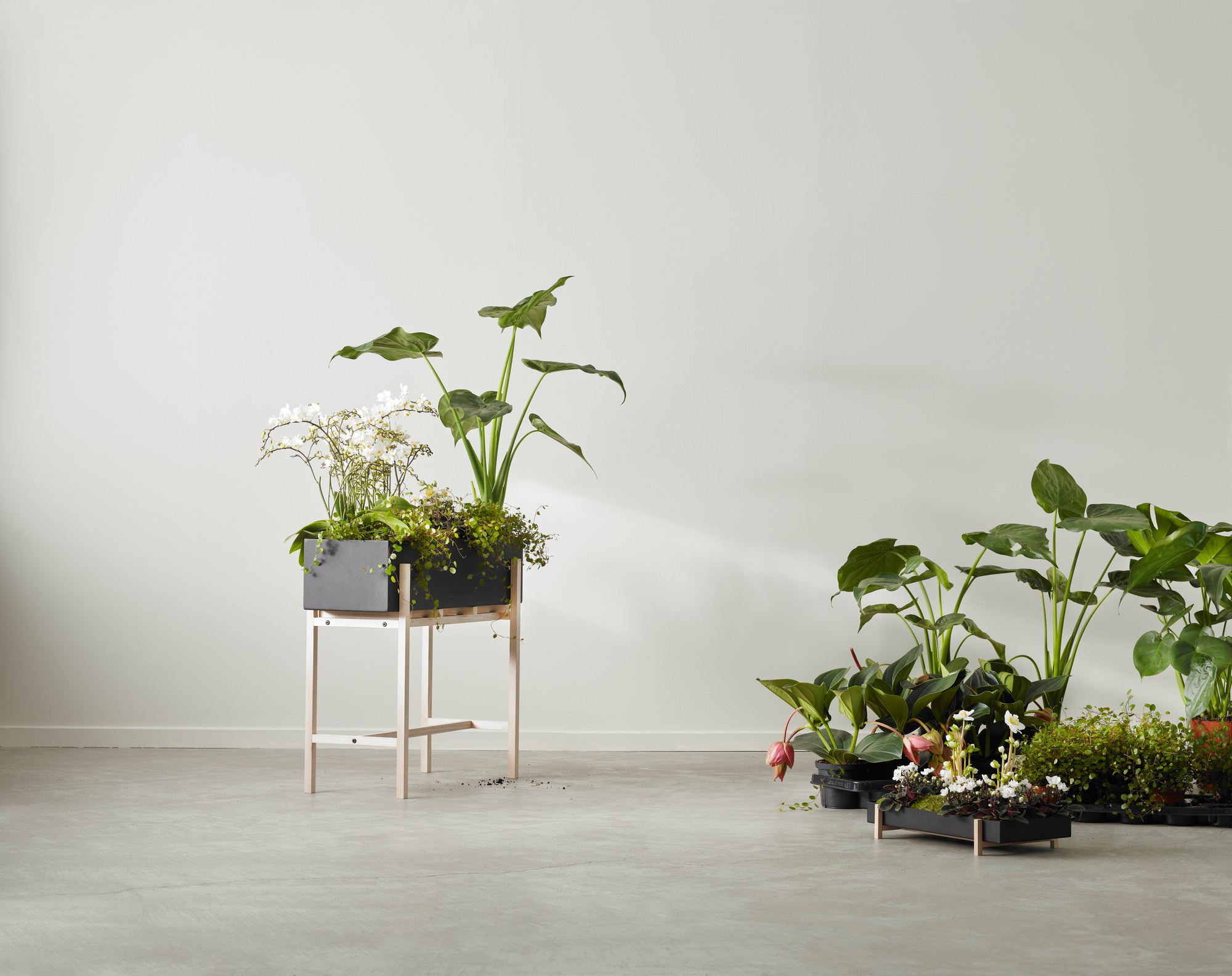 Botanic Flower Stand Blumenkasten Groß Design House Stockholm EINZELSTÜCK