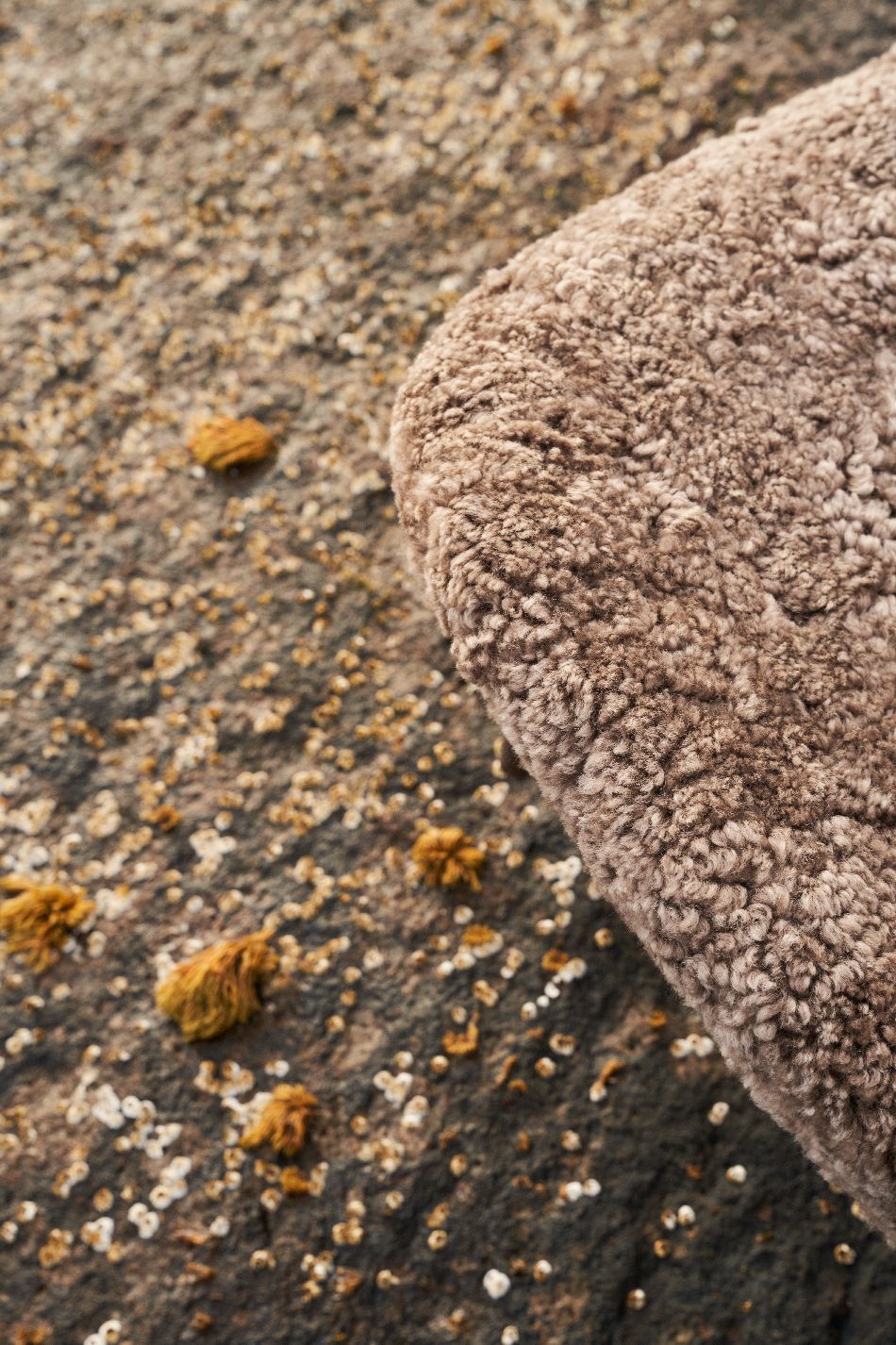 VIPP496 / VIPP 496 Lodge Lounge Chair, Low Back niedriger Sessel Vipp