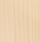 Tanne (Indoor)
