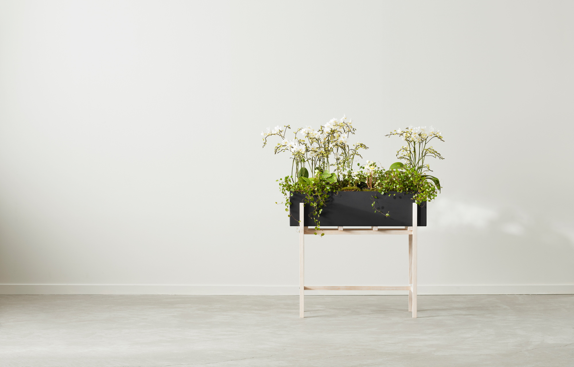 Botanic Flower Stand Blumenkasten Groß Design House Stockholm EINZELSTÜCK