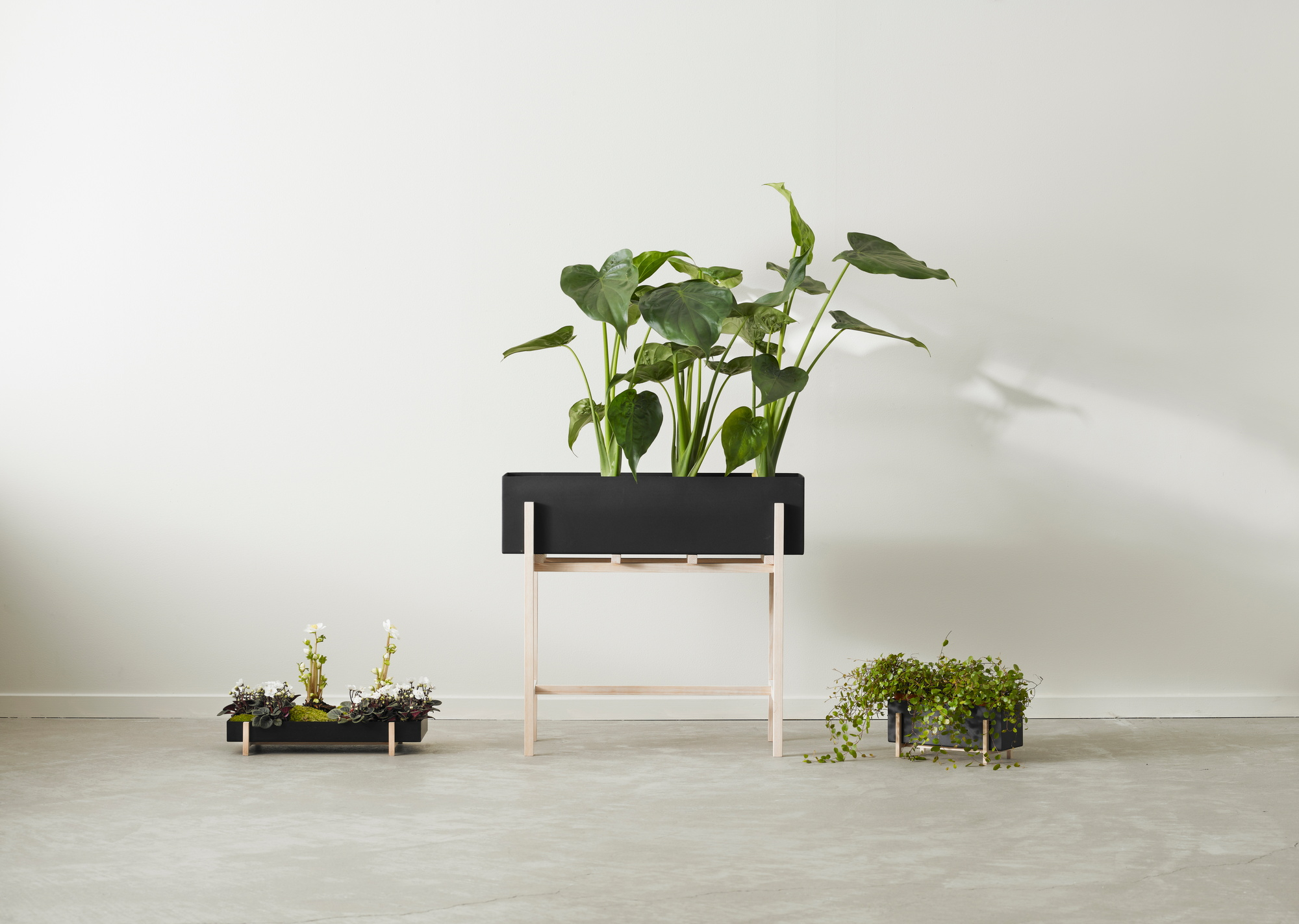 Botanic Flower Stand Blumenkasten Groß Design House Stockholm EINZELSTÜCK