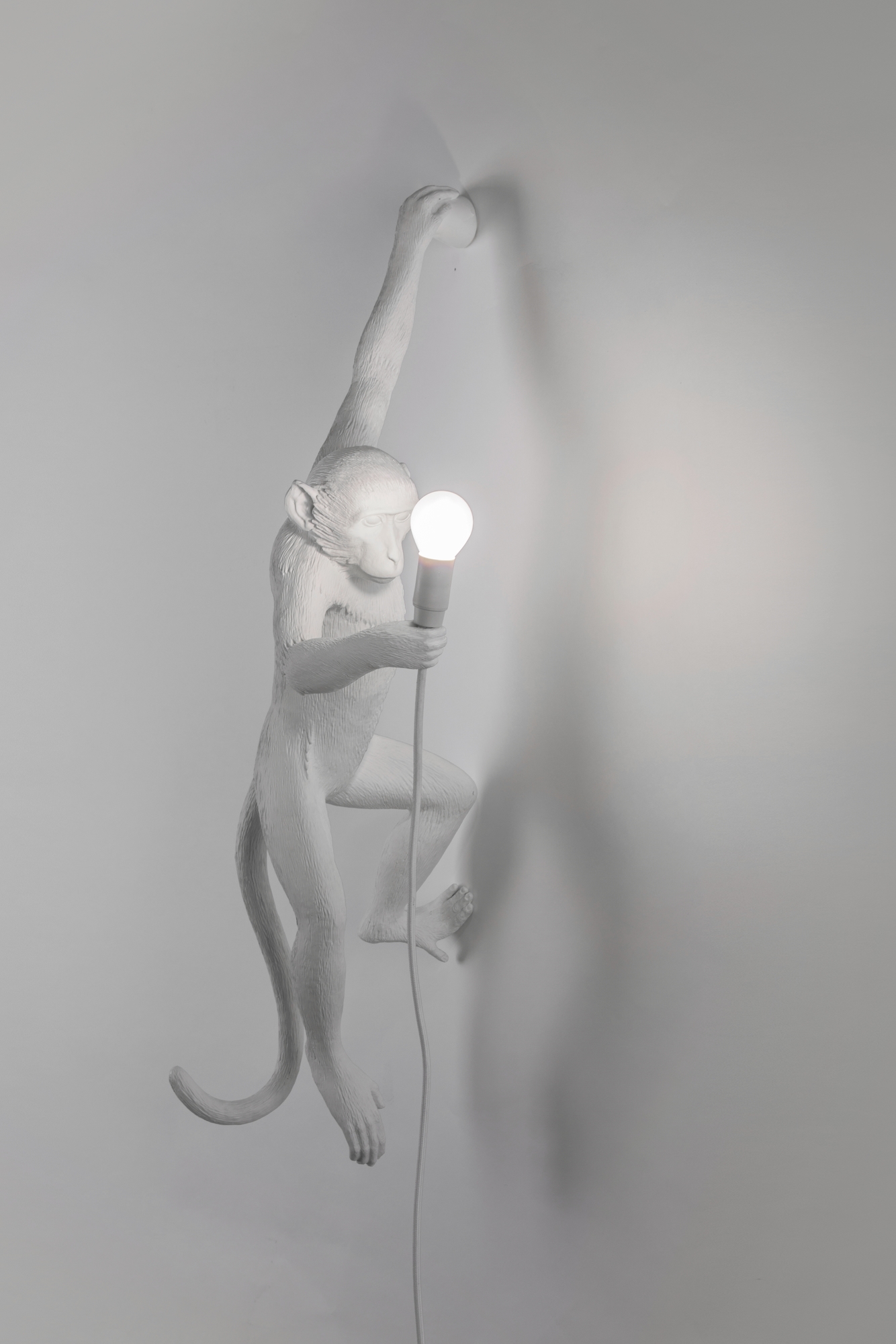 Monkey Lamp Wandleuchte Outdoor links Seletti EINZELSTÜCK