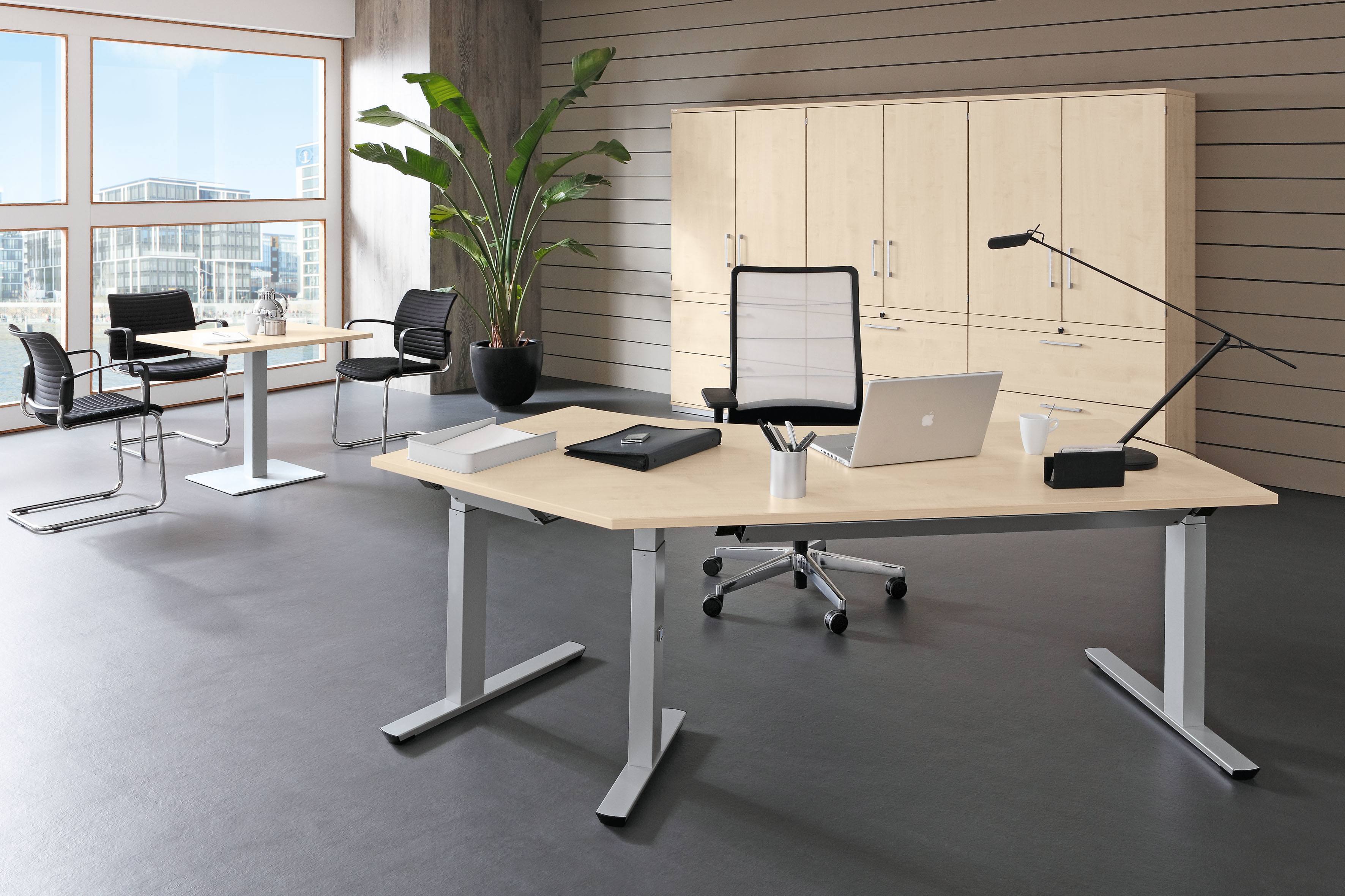 Büro mit Palmberg Crew Schreibtisch, höhenverstellbar, mit Büromöbeln und Büropflanze für ergonomisches Arbeiten.