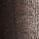 Eiche geräuchert / schwarz
