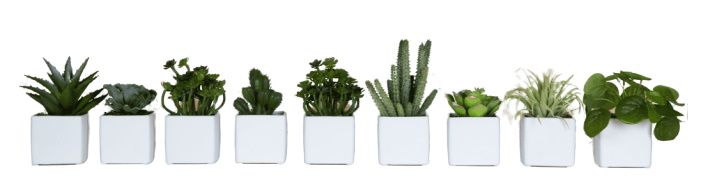 Phoenix Mini Sukkulente Cube Pots 9-er Set Weiß Kunstpflanze Tanaman  