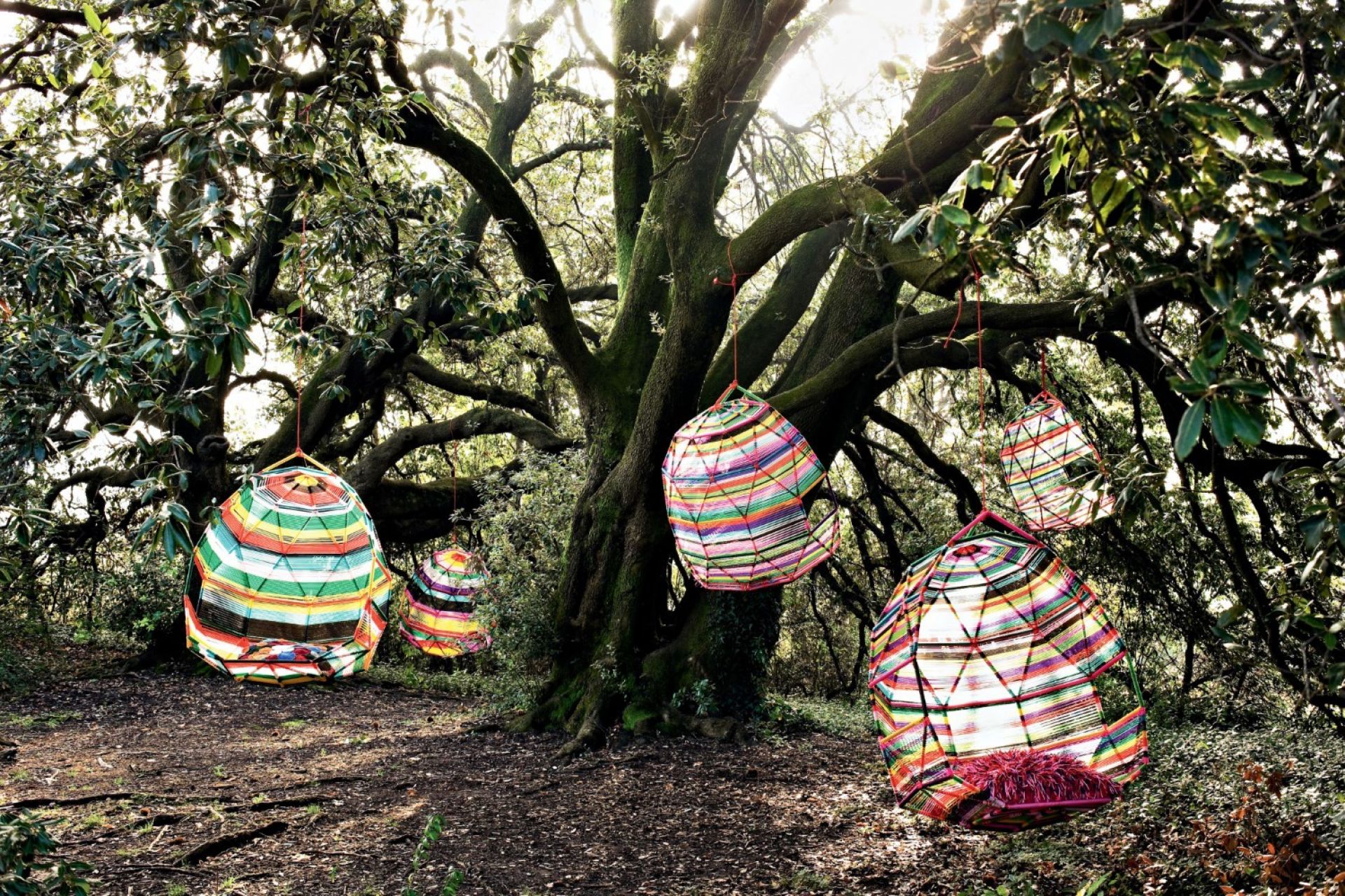 Tropicalia Cocoon Schwingsessel Moroso