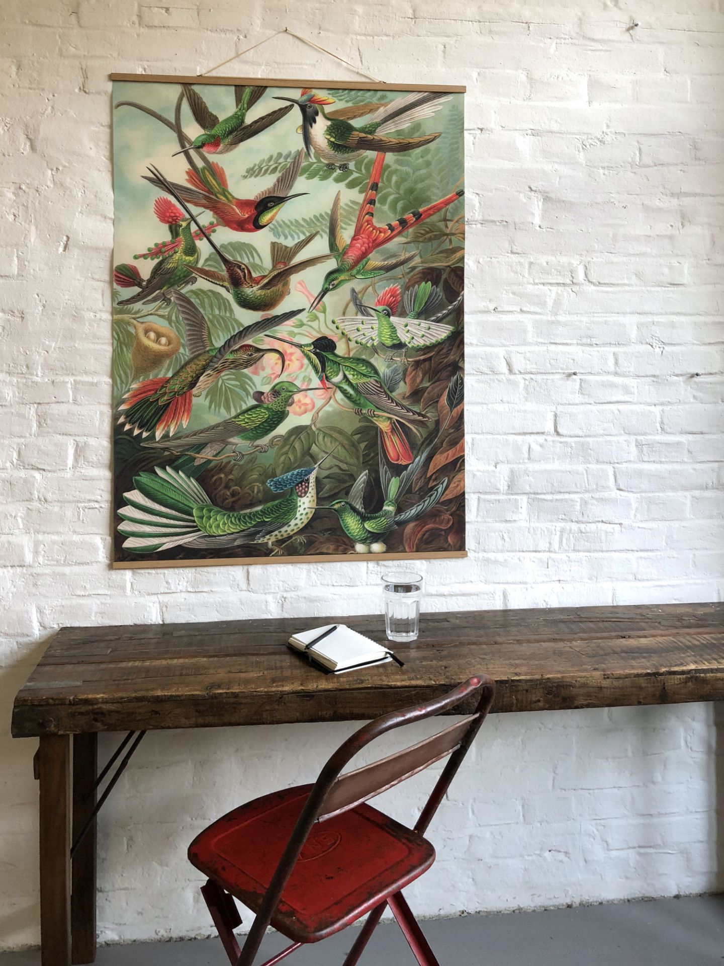 Fish Poster No 66 eicie EINZELSTÜCK