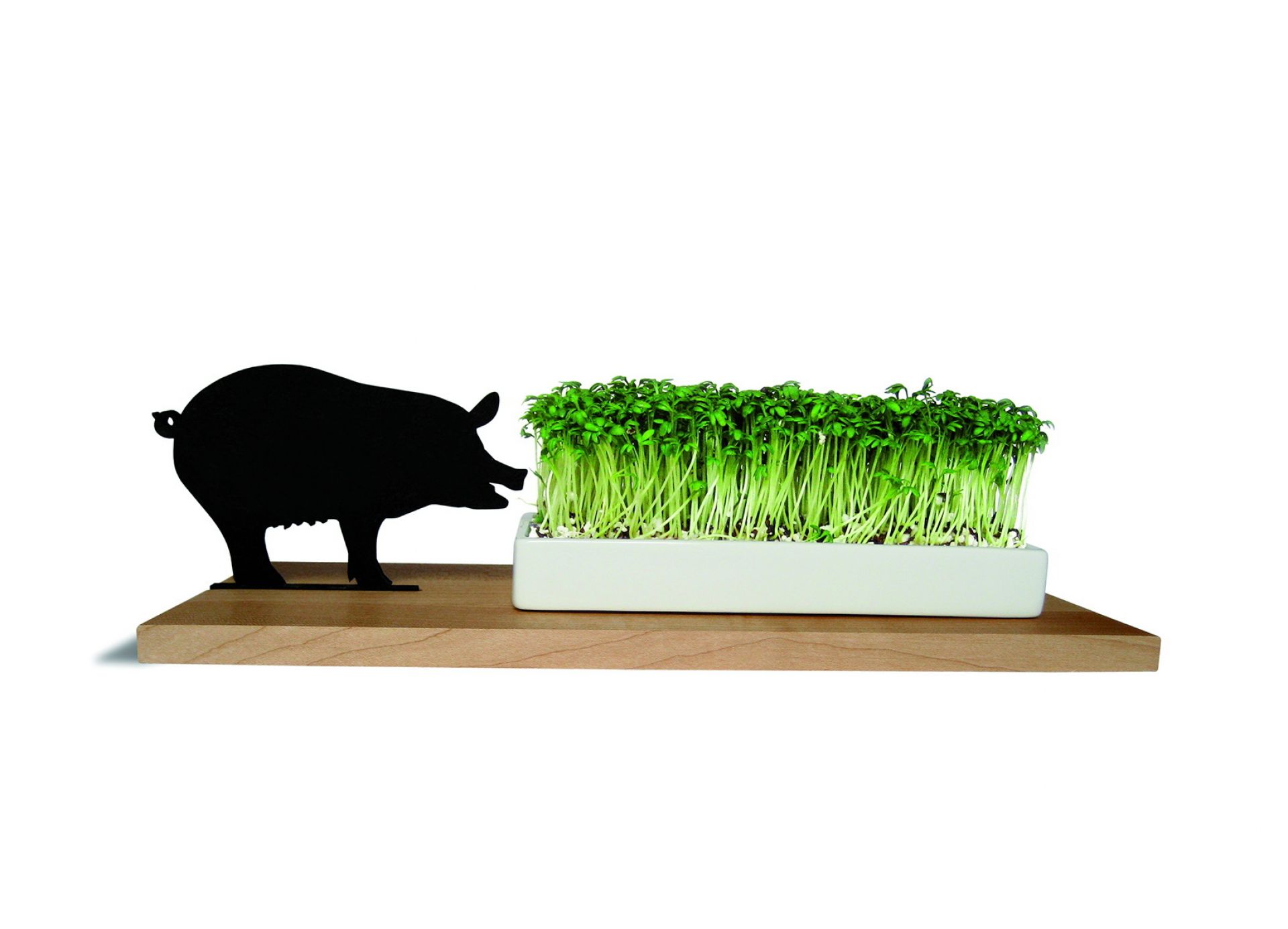 Smart 'n' green Kresseschale Schwein Side by Side EINZELSTÜCK