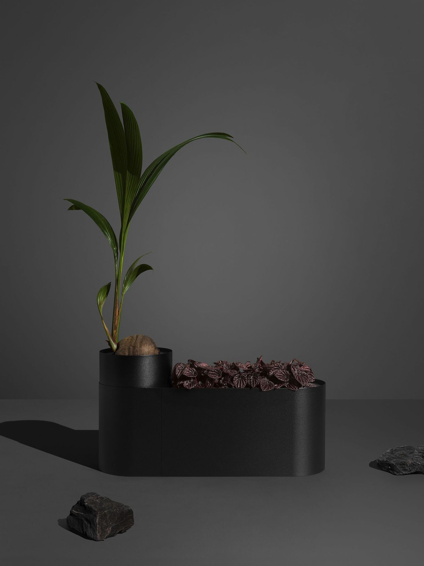 Plant Here Pflanzenbox / Blumentopf Mizetto QUICK SHIP