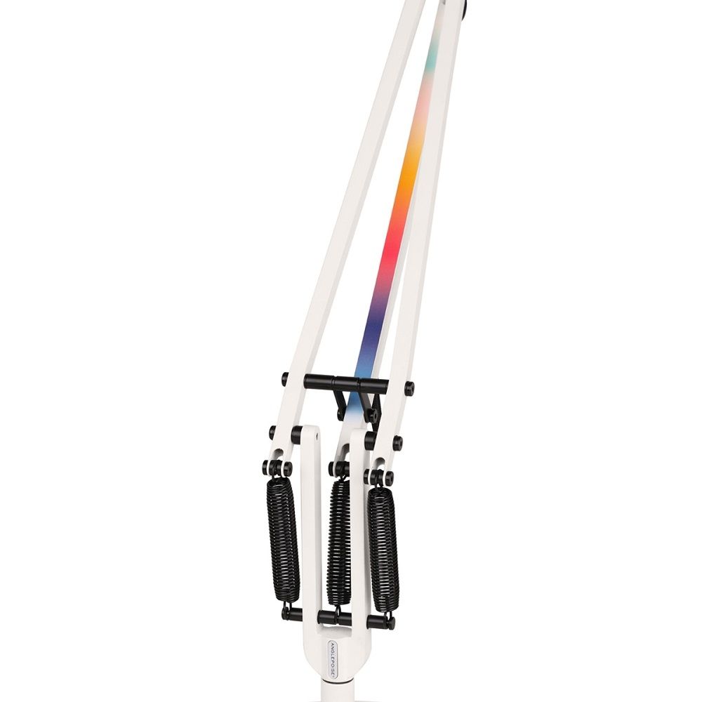 Type 75 Floor Lamp - Paul Smith Edition 6 Stehleuchte Anglepoise EINZELSTÜCK
