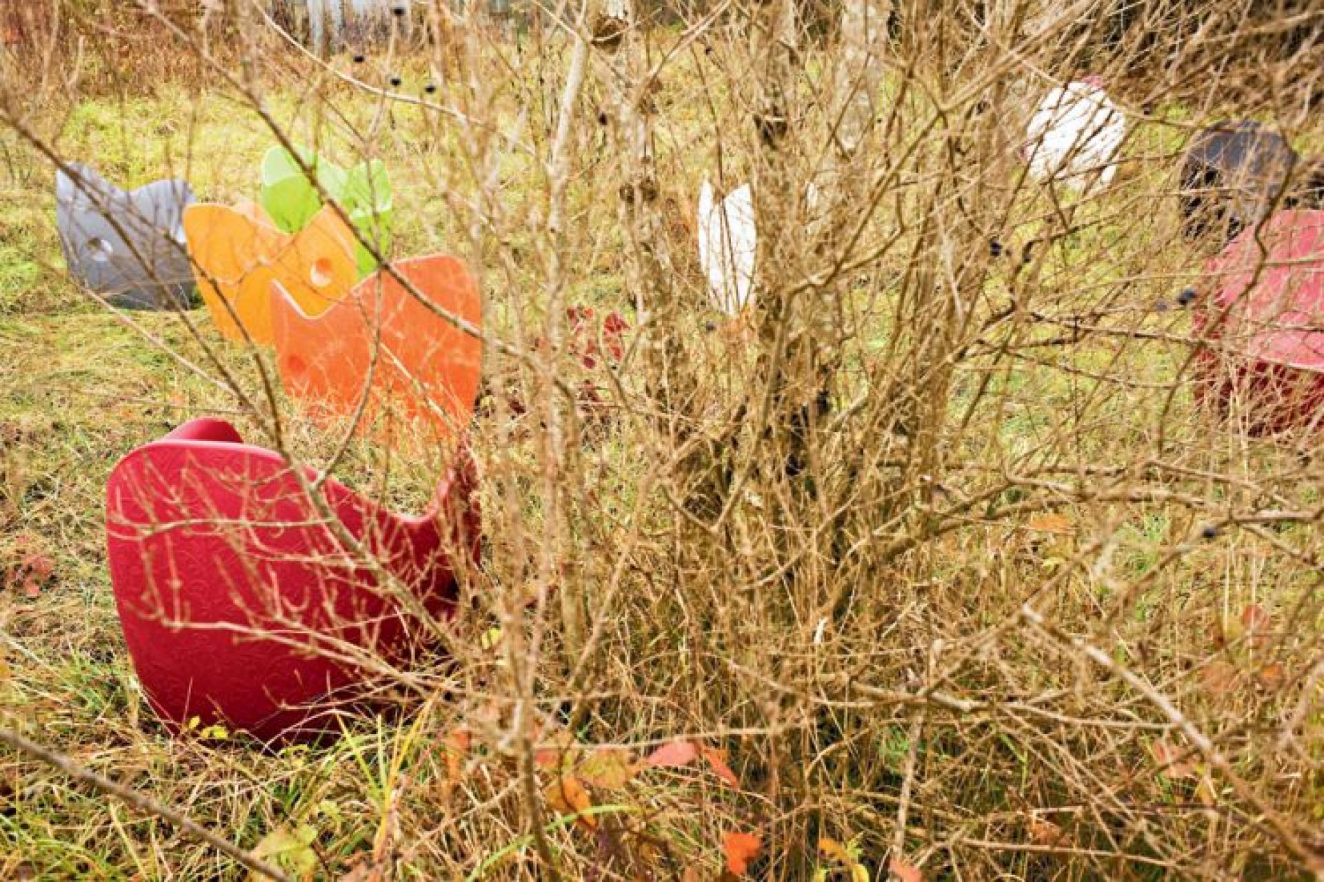 O-Nest Sessel rote Dahlie Moroso