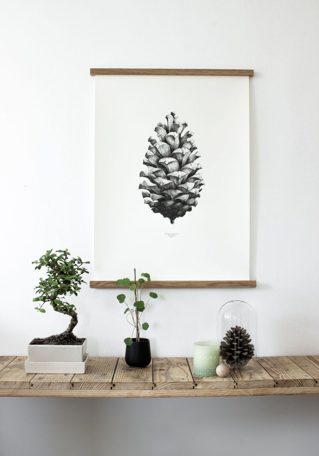 Posterleiste Walnuss 73 cm Paper Collective EINZELSTÜCK