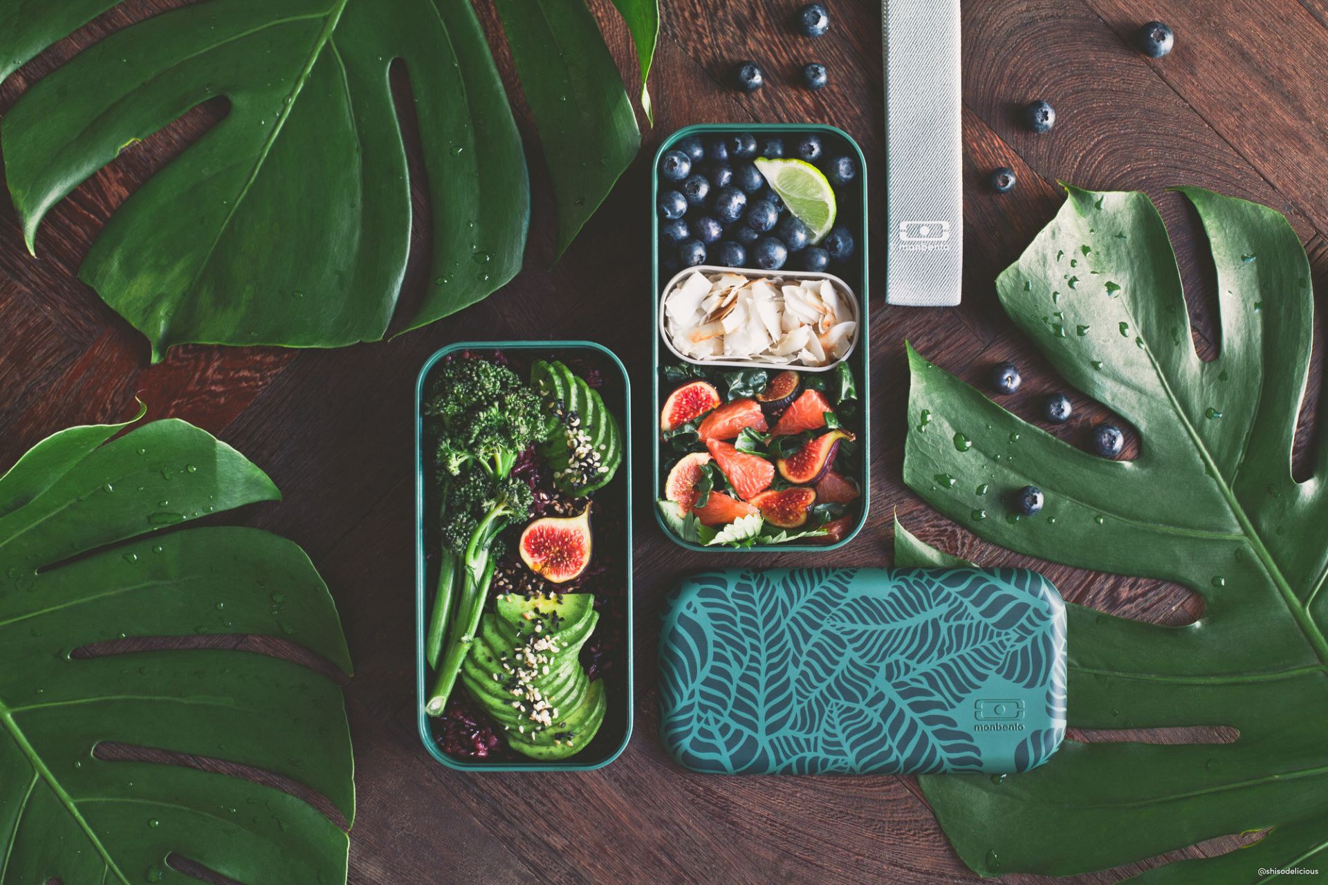 MB Original Jungle Lunch Box Monbento EINZELSTÜCK
