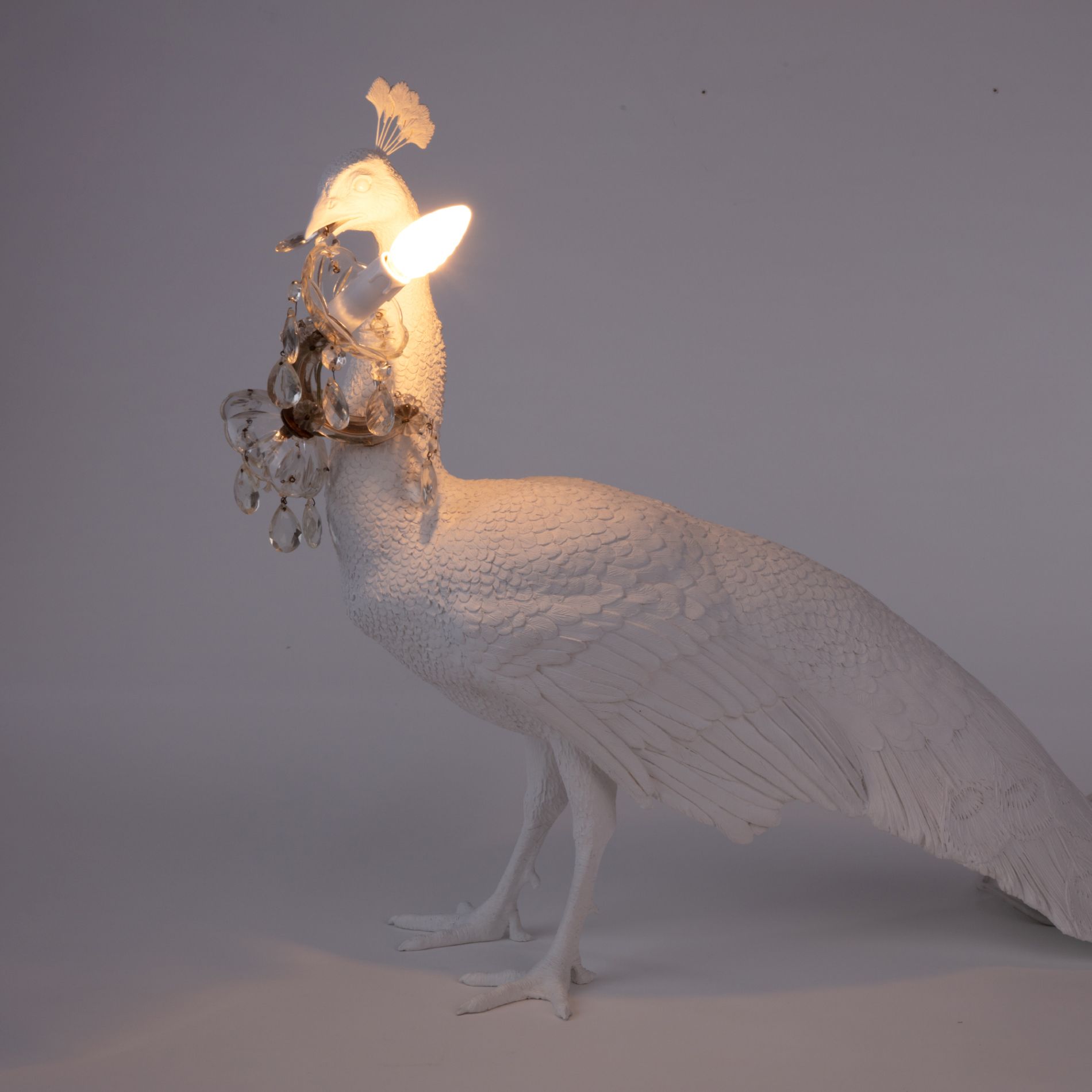 Peacock Lamp Leuchte Seletti EINZELSTÜCK