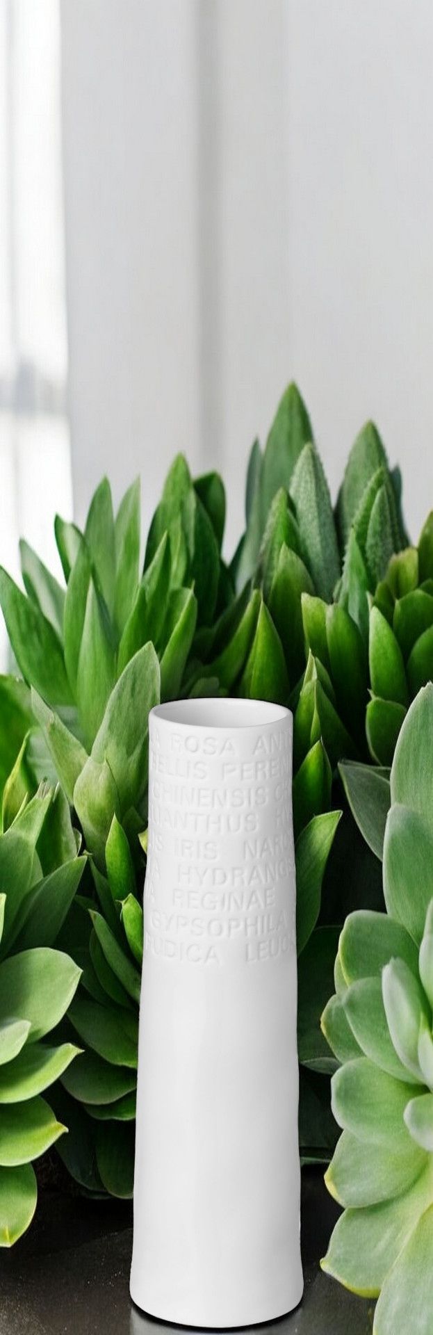 Zuhause Raumpoesie Vase klein Räder EINZELSTÜCK