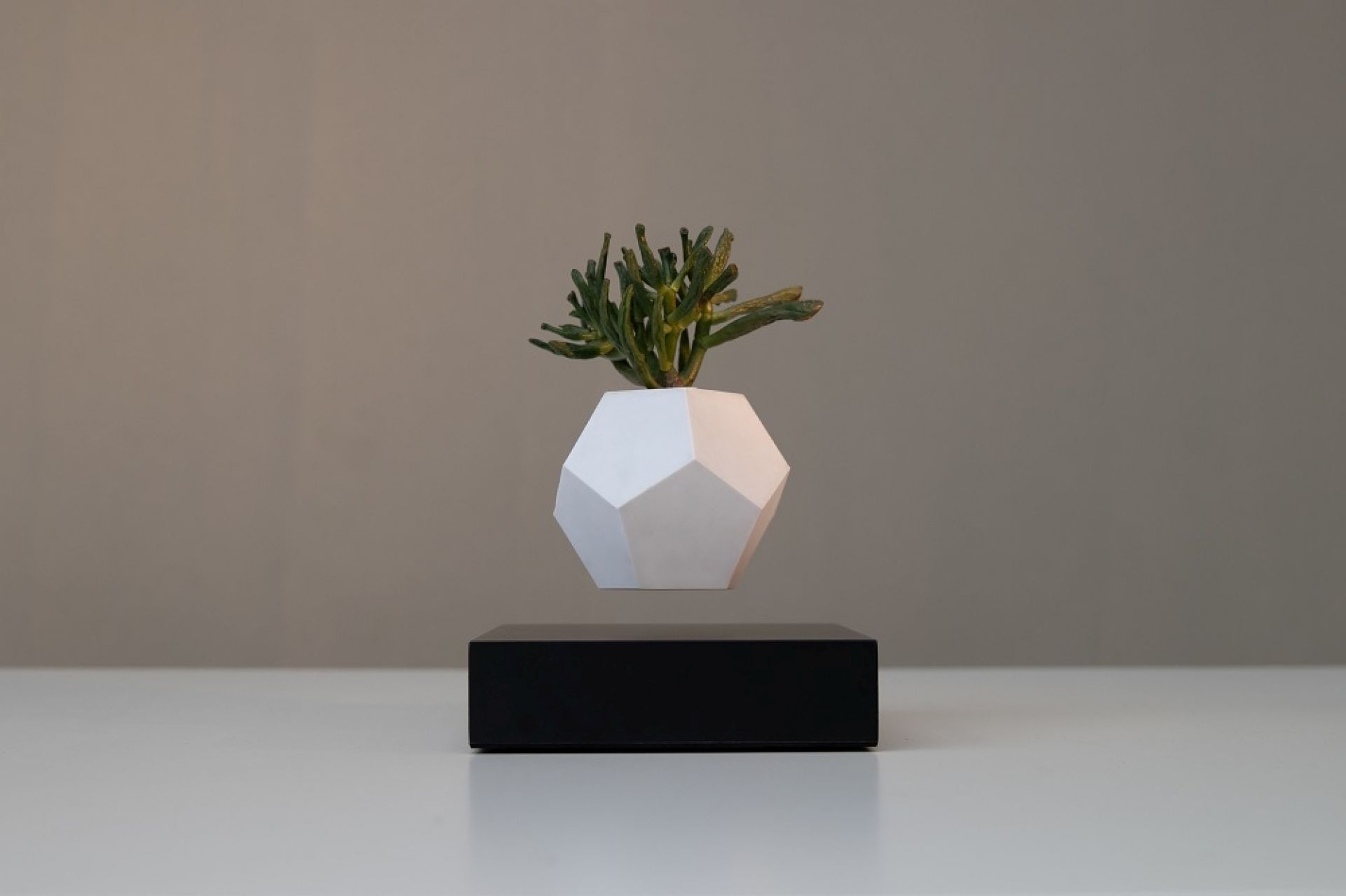 Lyfe schwebende Vase Klein & More Ahorn schwarz EINZELSTÜCK