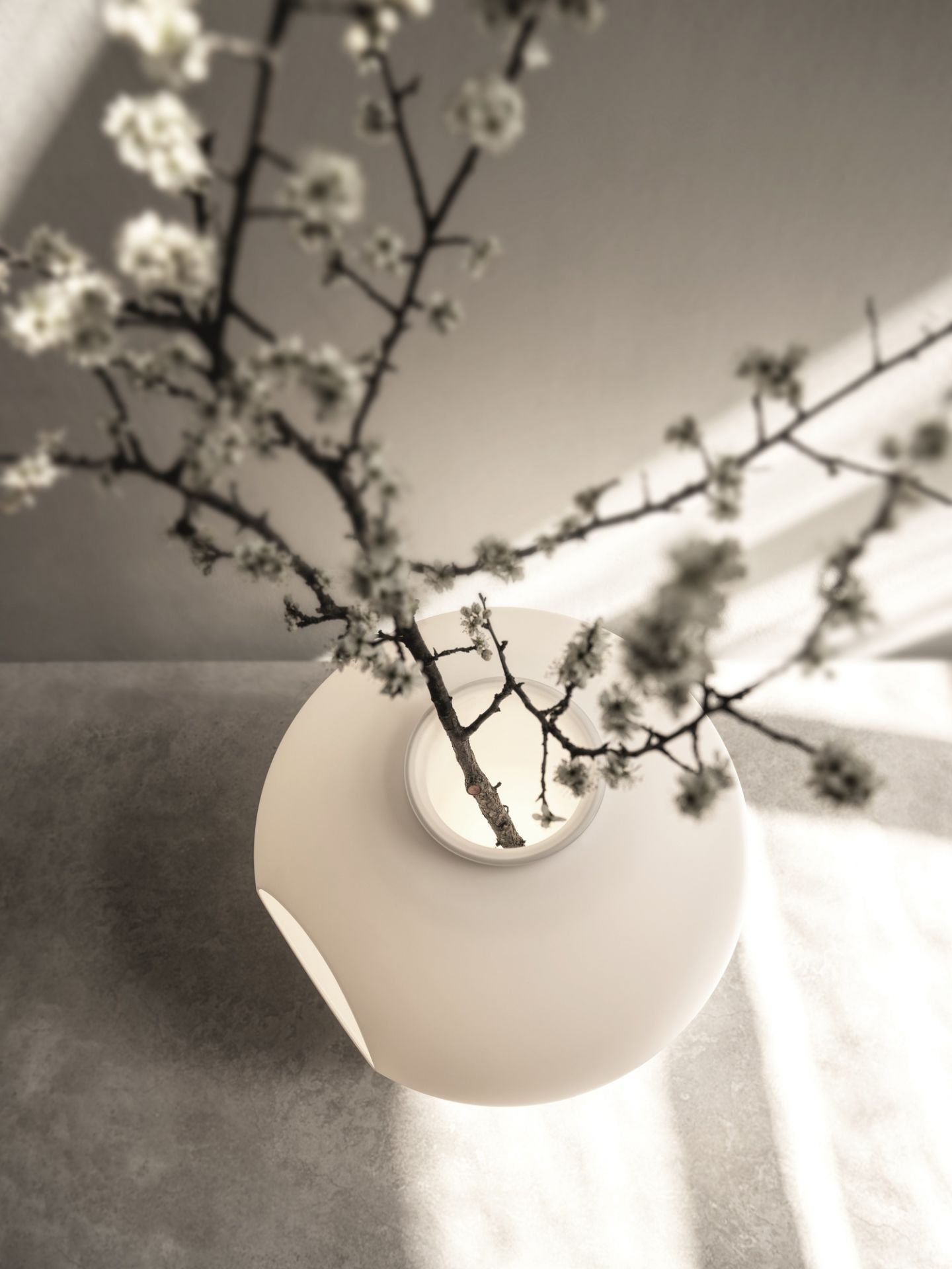 Madre LED Tischleuchte Foscarini