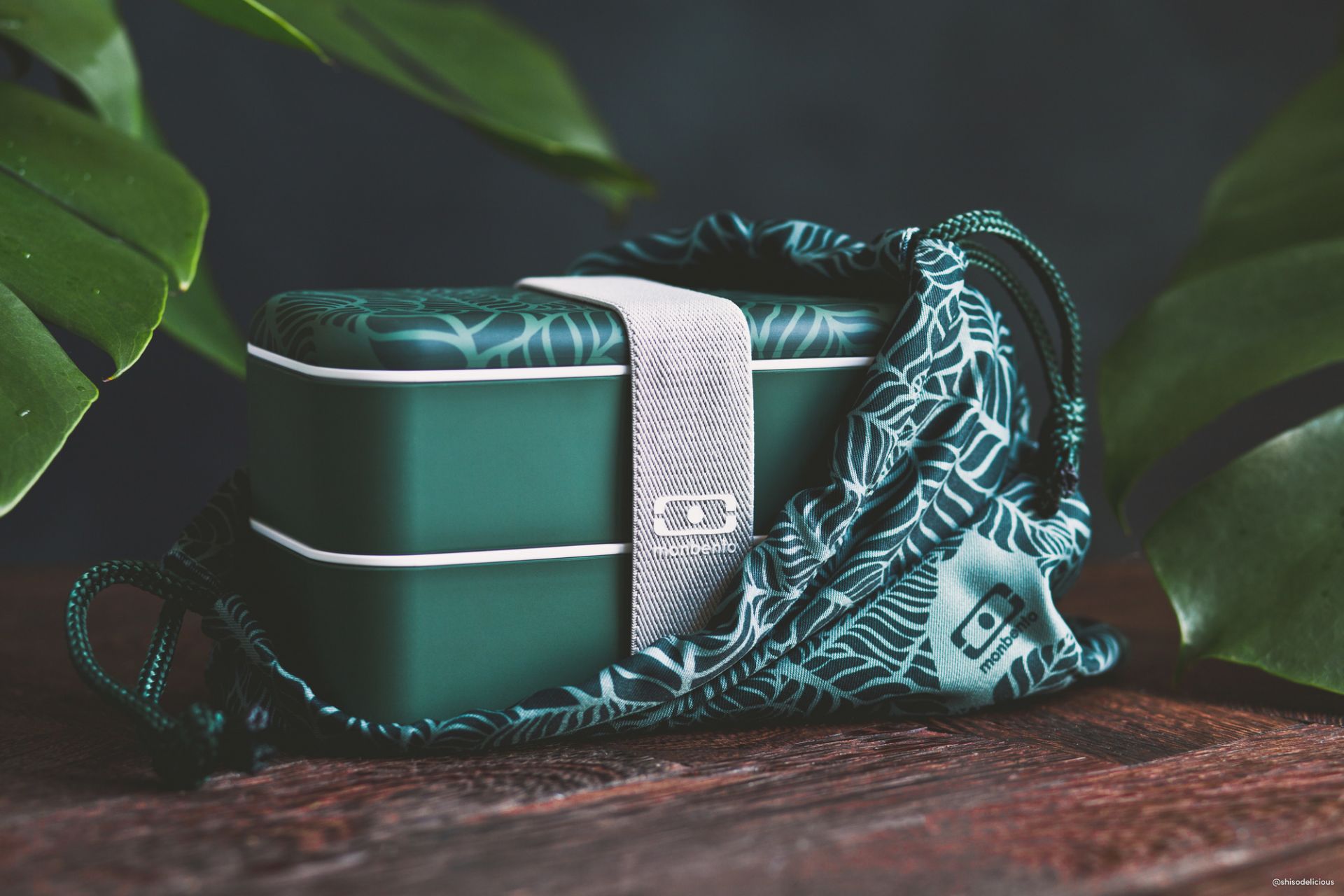 MB Original Jungle Lunch Box Monbento EINZELSTÜCK