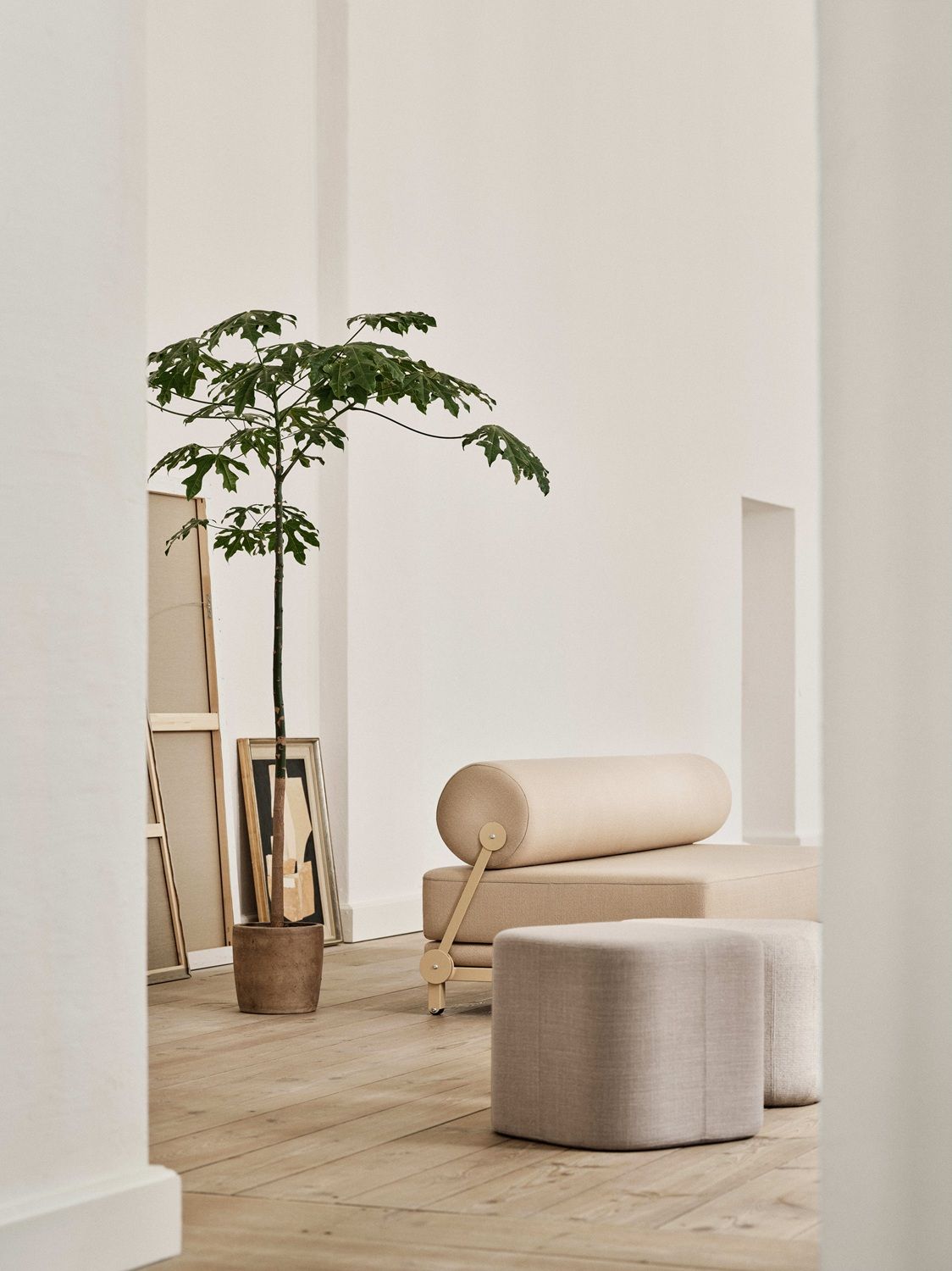 SLEEP Sofa / Schlafsofa Softline