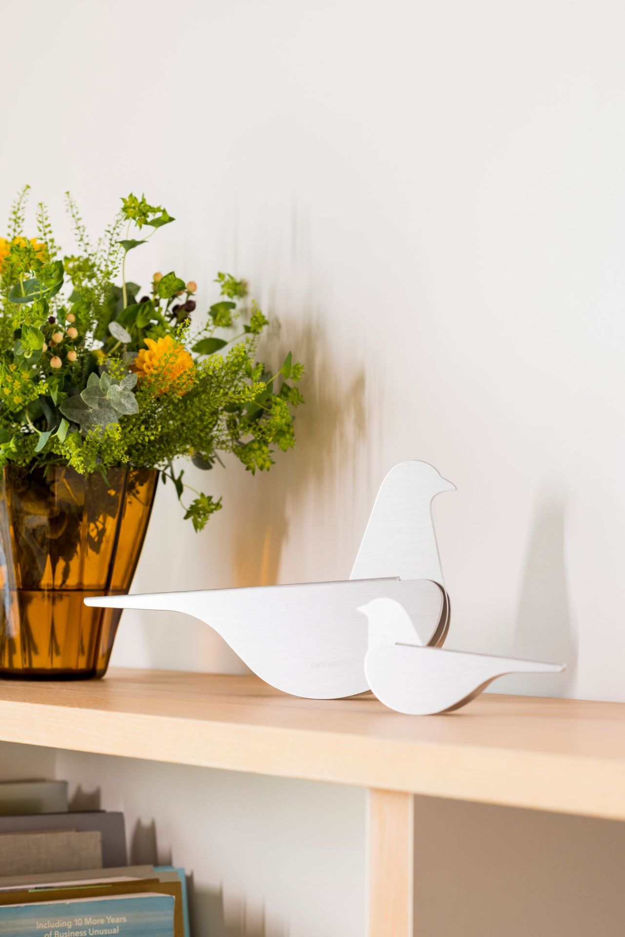 Birds Pigeon Taube Emeco