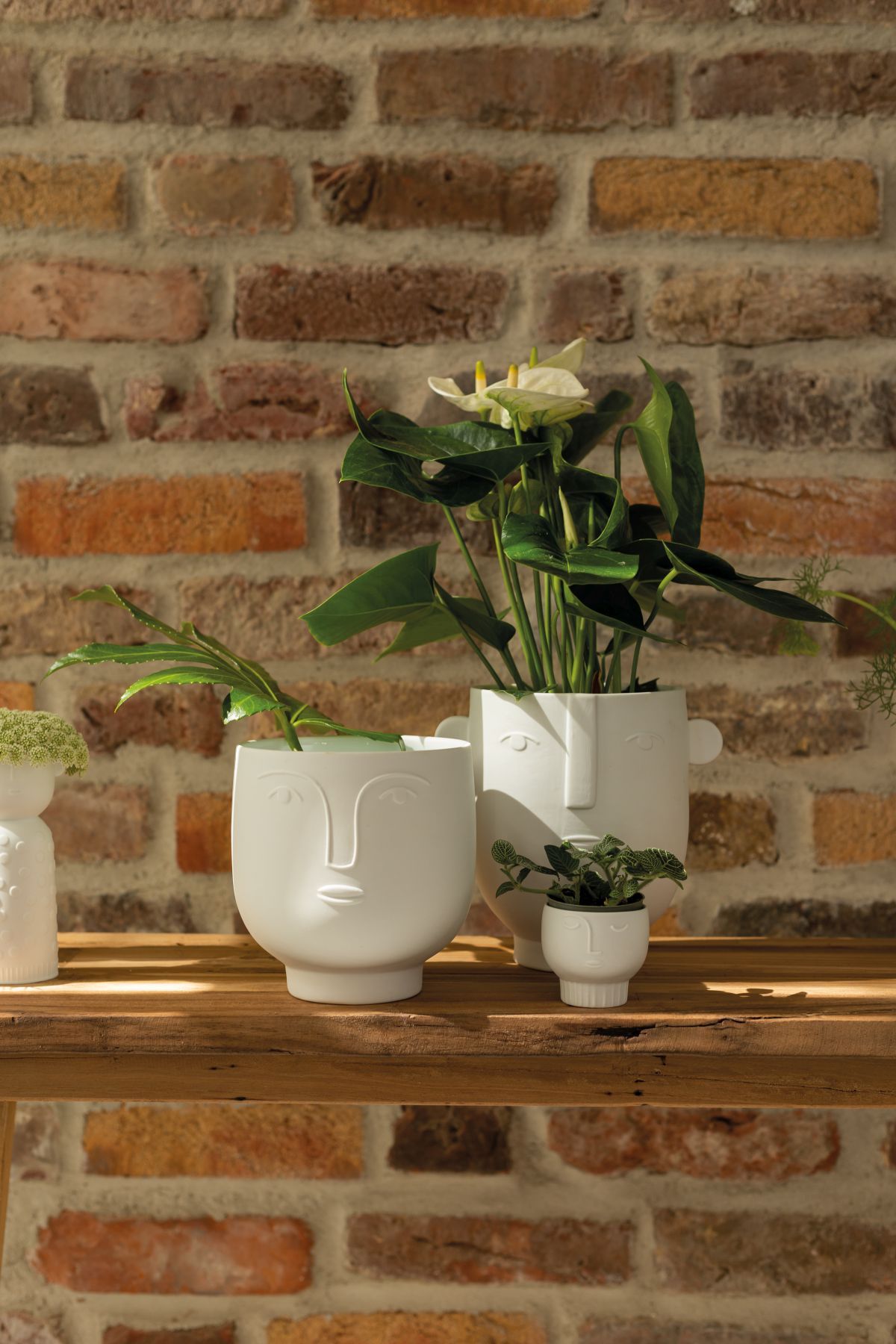Naturgestalten Vase Flora Räder