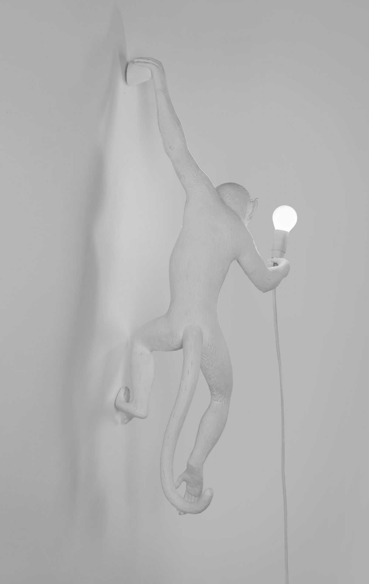 Monkey Lamp Wandleuchte Outdoor links Seletti EINZELSTÜCK