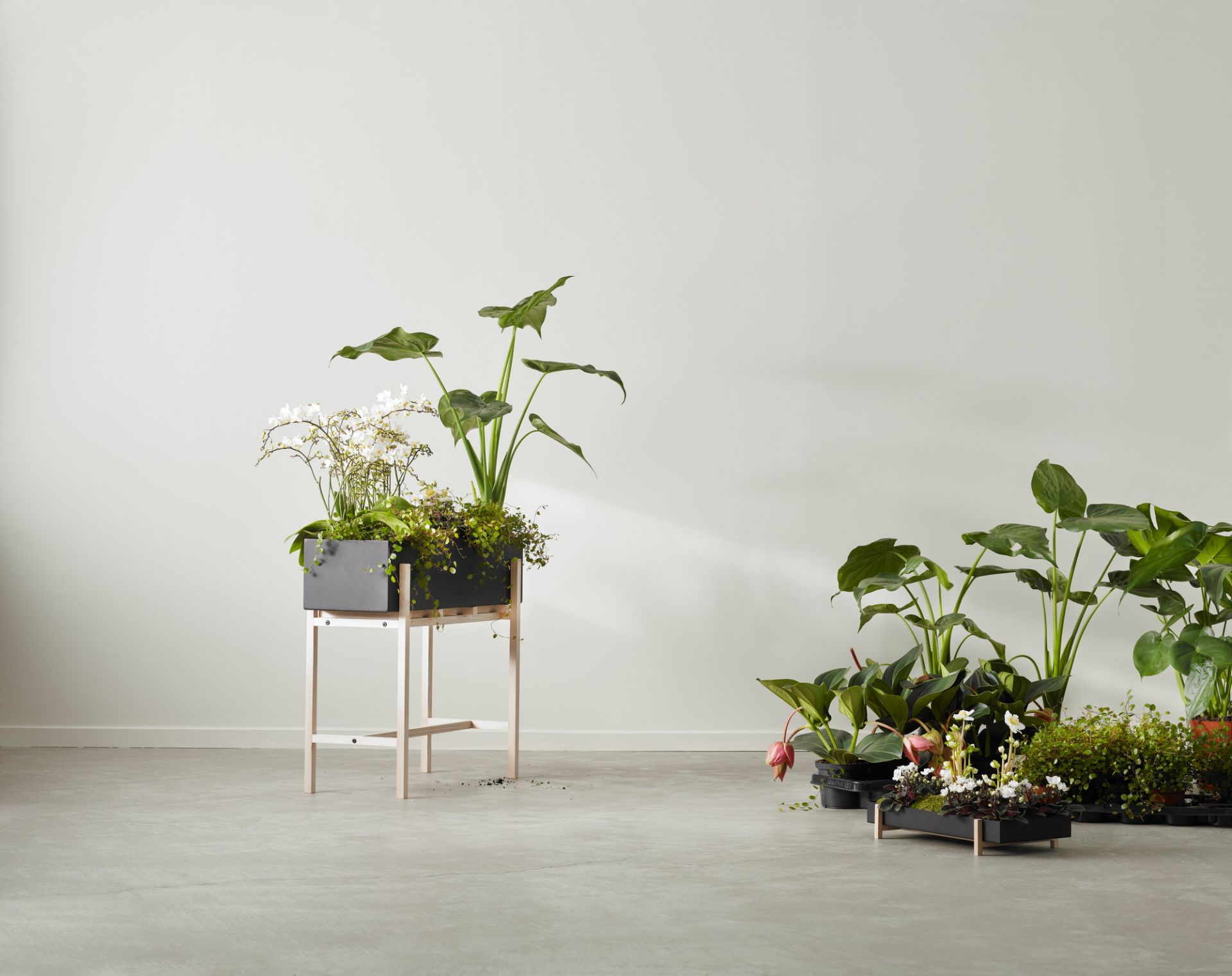 Botanic Flower Stand Blumenkasten Groß Design House Stockholm EINZELSTÜCK