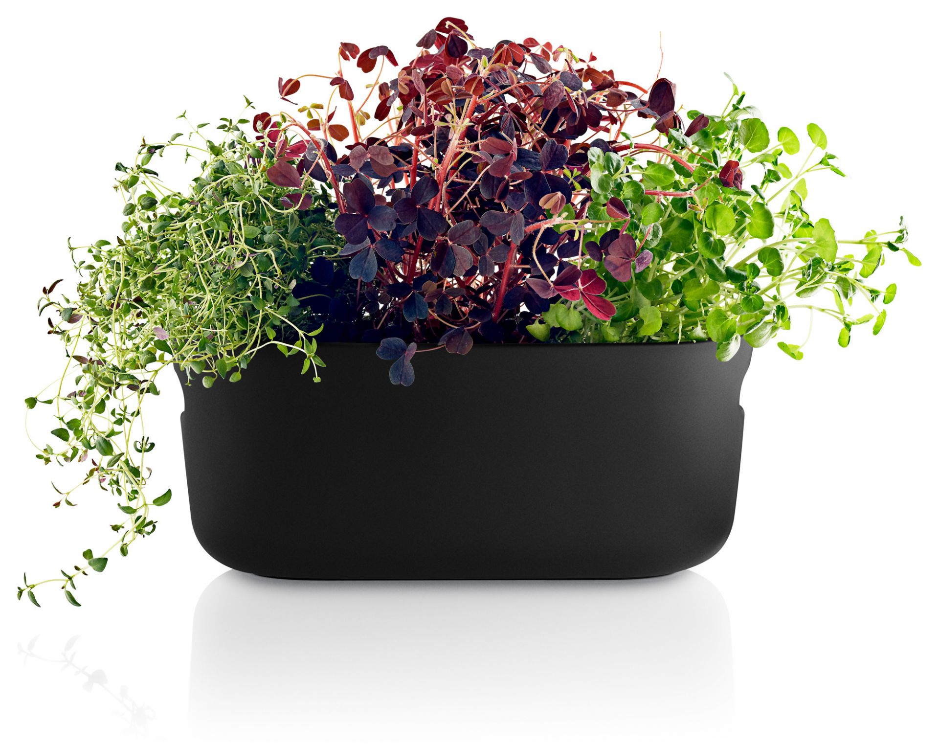 Selbstbewässernder Herb-Organiser Eva Solo EINZELSTÜCK