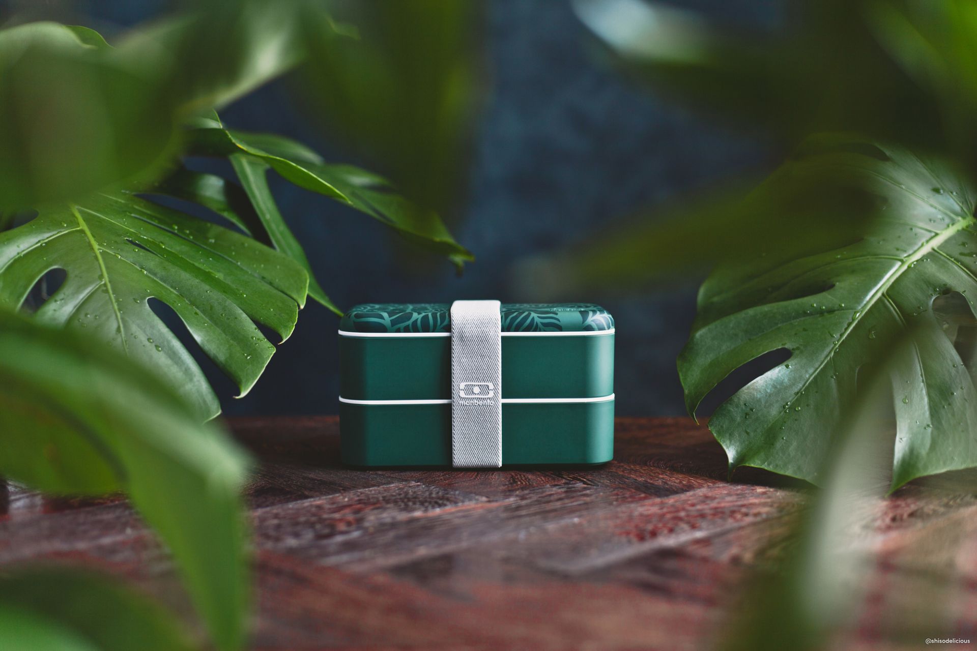 MB Original Jungle Lunch Box Monbento EINZELSTÜCK