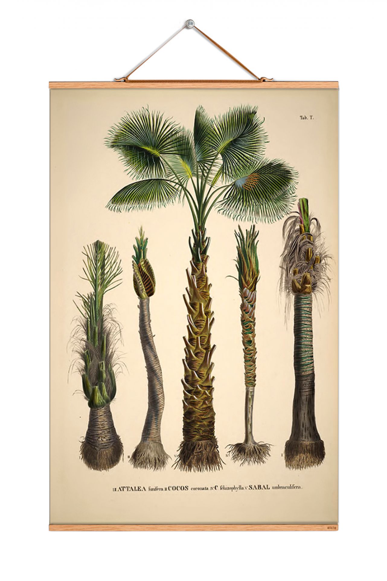 Palm Trees South America Poster No 89 eicie EINZELSTÜCK