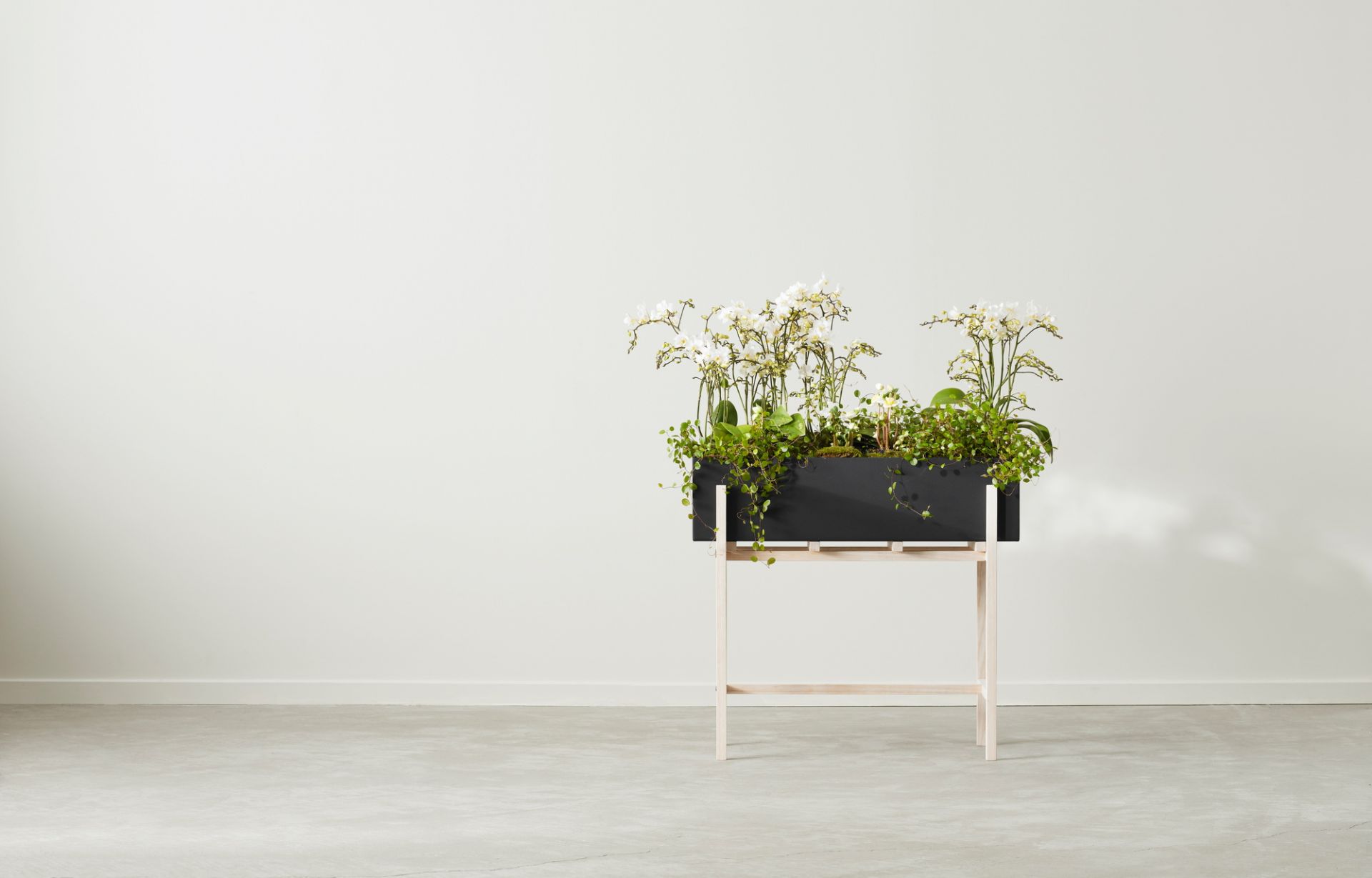 Botanic Flower Stand Blumenkasten Groß Design House Stockholm EINZELSTÜCK