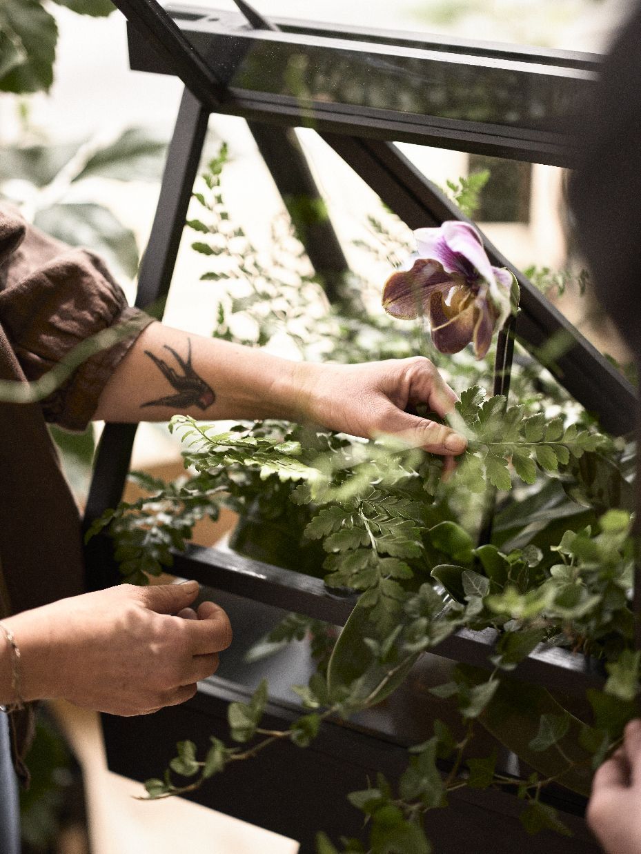 Greenhouse Gewächshaus Design House Stockholm Esche dunkel