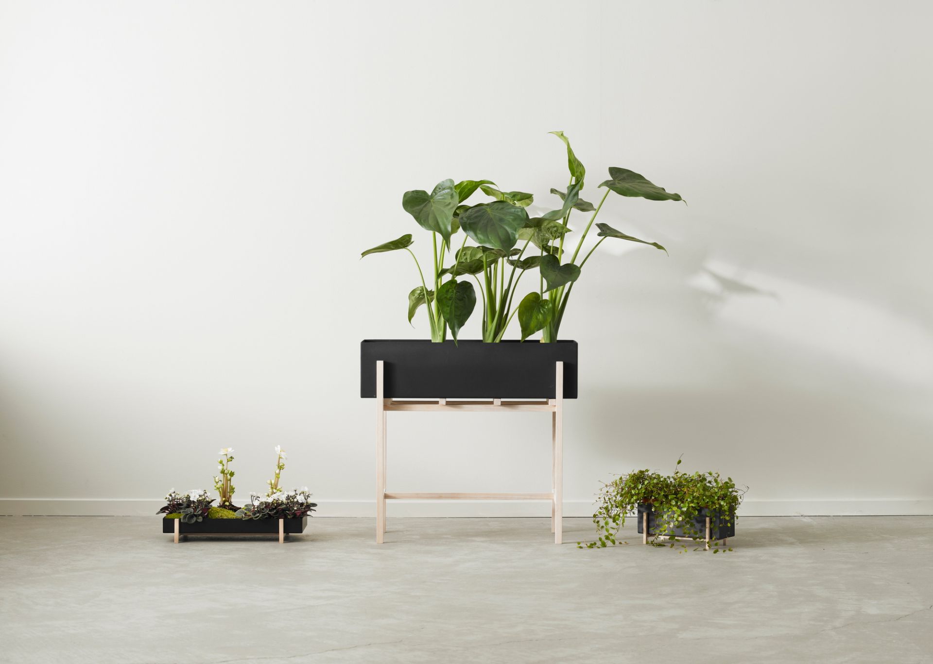 Botanic Flower Stand Blumenkasten Groß Design House Stockholm EINZELSTÜCK