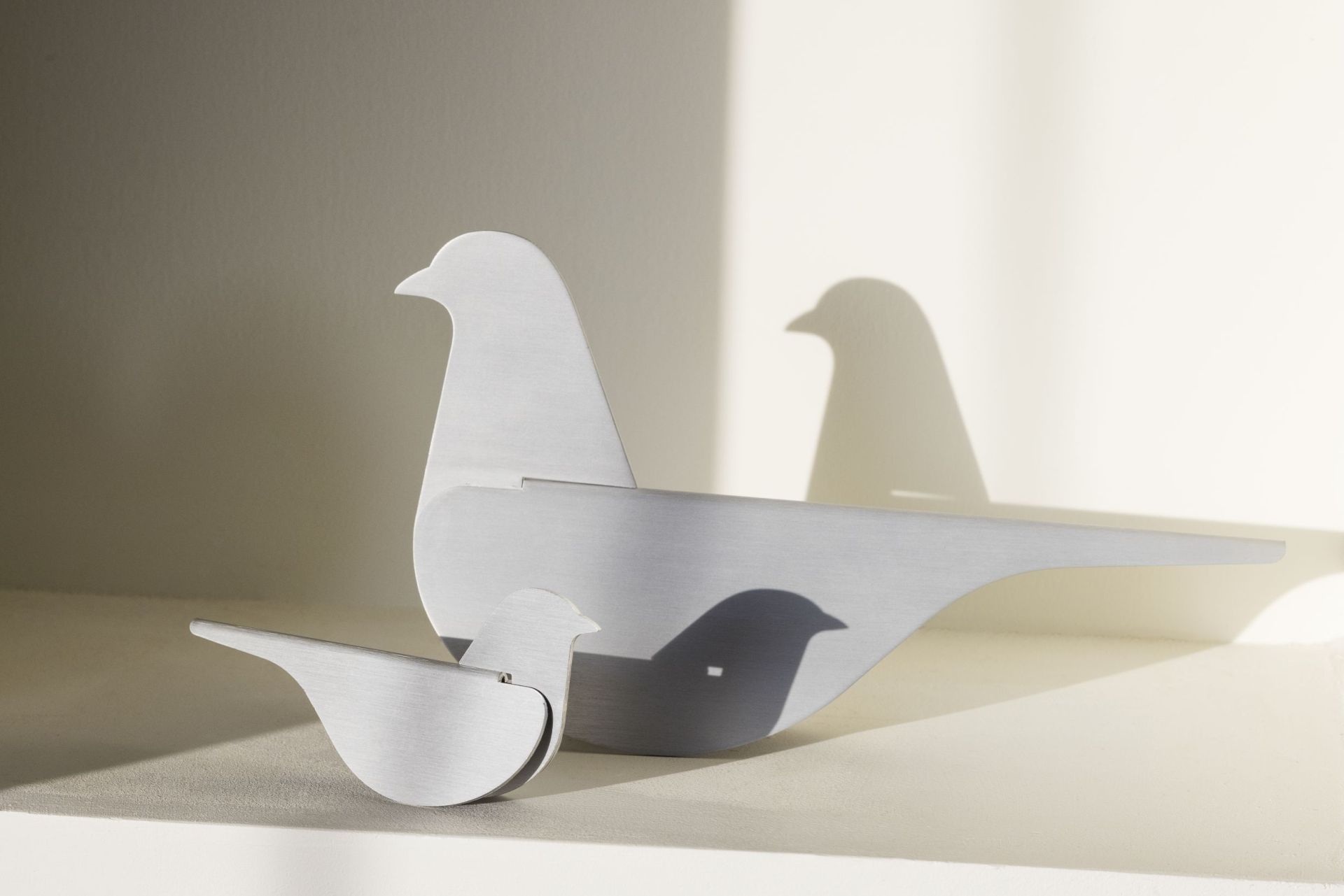 Birds Pigeon Taube Emeco