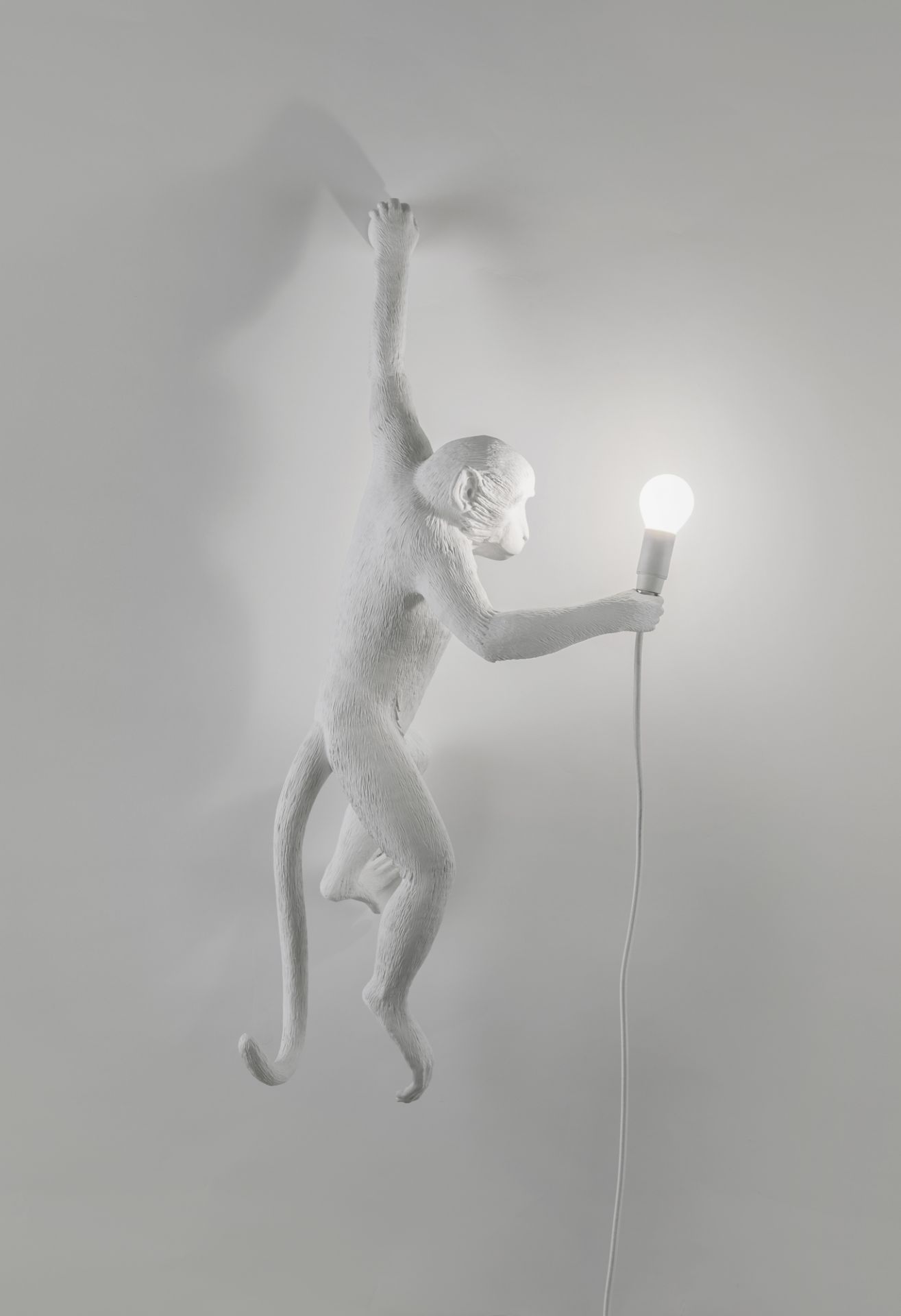 Monkey Lamp Wandleuchte Outdoor links Seletti EINZELSTÜCK