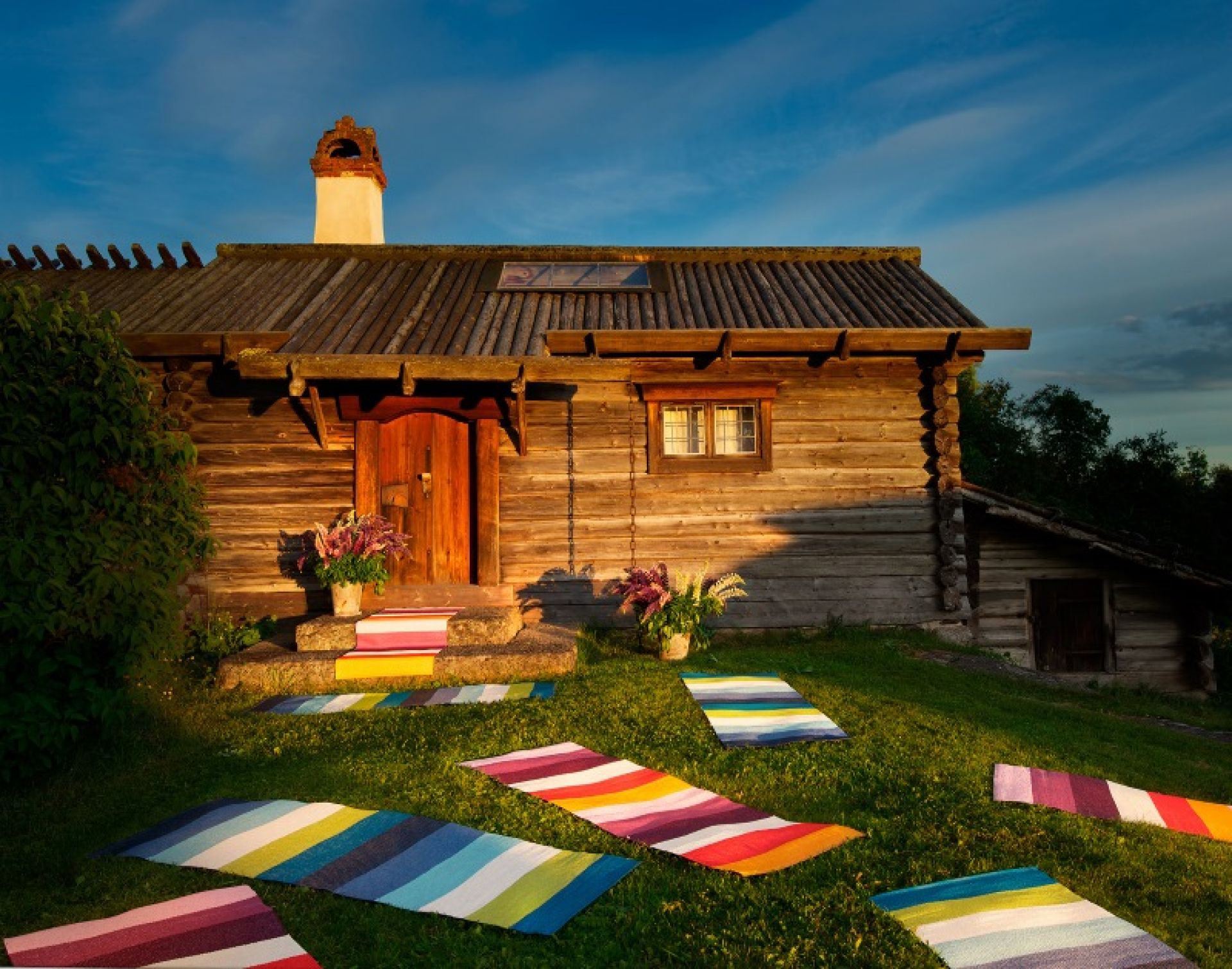 Molly Kunststoffteppich 70 x 200 cm FOREST Pappelina EINZELSTÜCK