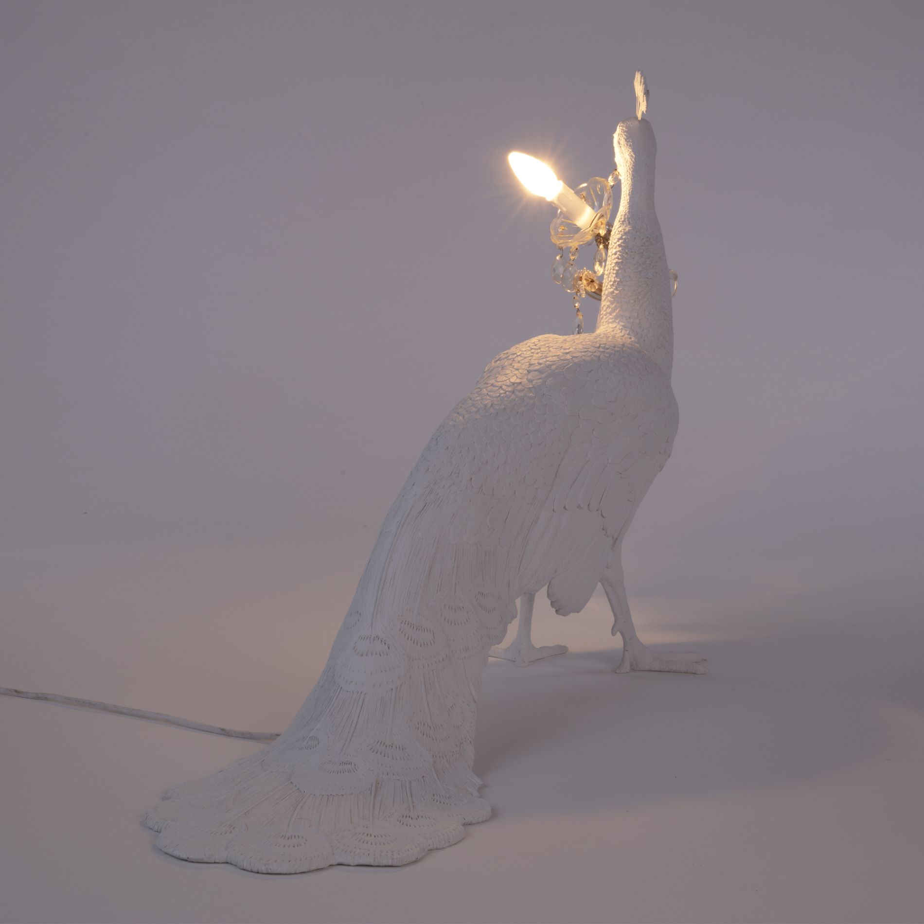 Peacock Lamp Leuchte Seletti EINZELSTÜCK
